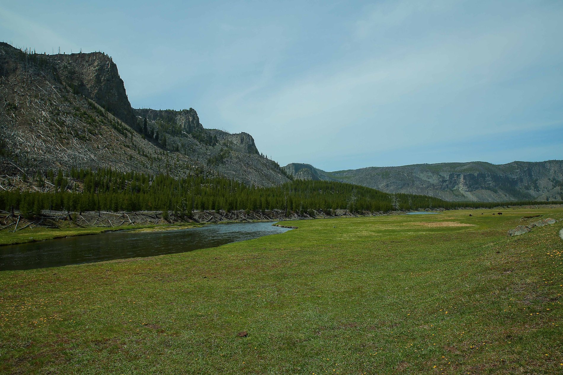 USA,Yellowstone Nat Park,-647.JPG
