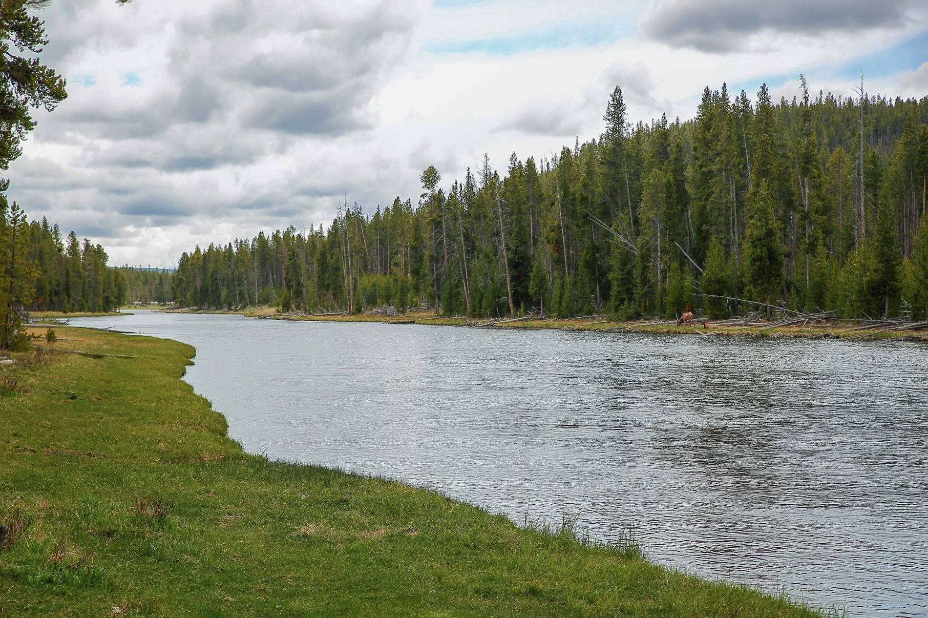 USA,Yellowstone Nat Park,-930.JPG
