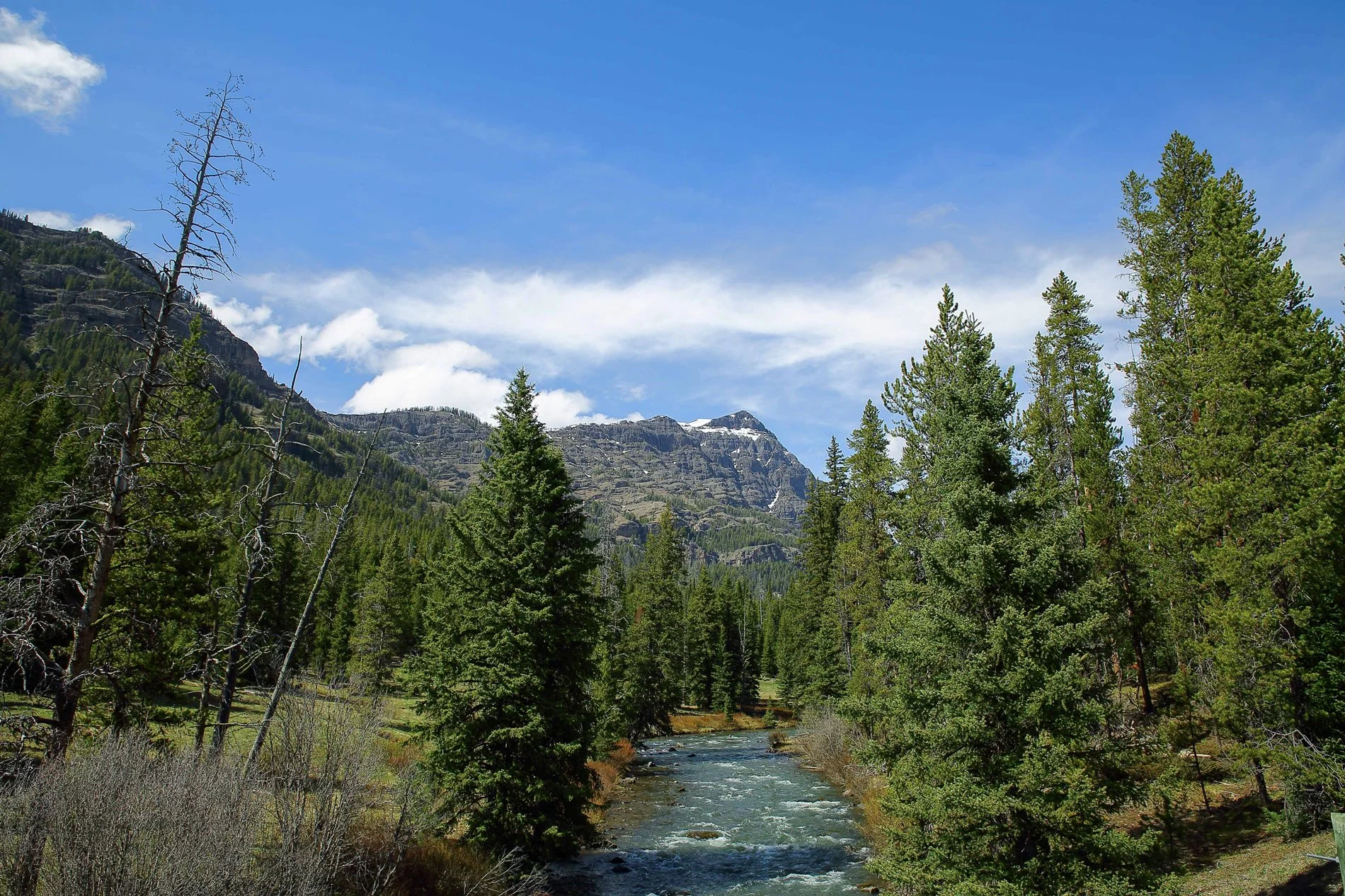 USA,Yellowstone Nat Park,Lamar Valley,-800.JPG