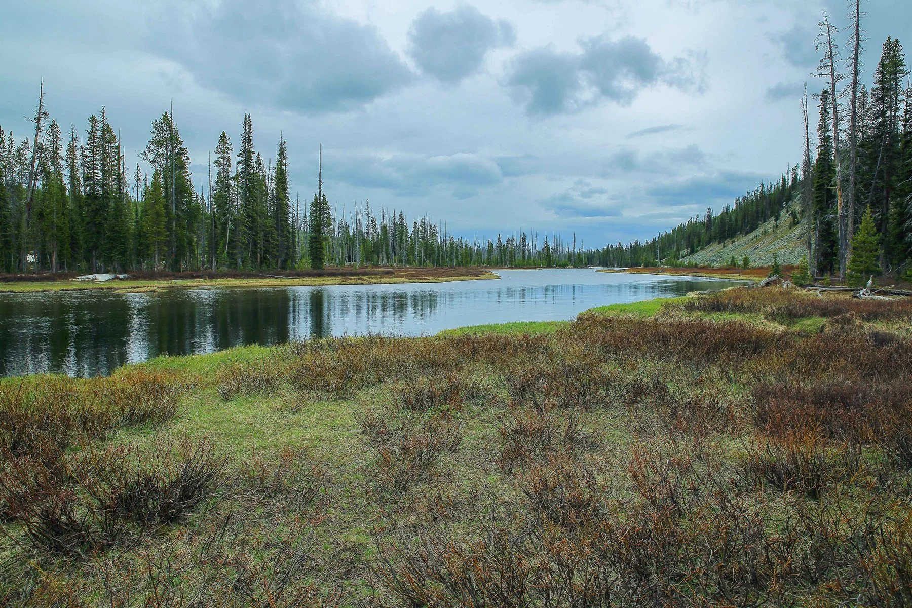 USA,Yellowstone Nat Park,Lewis River,-1203.JPG