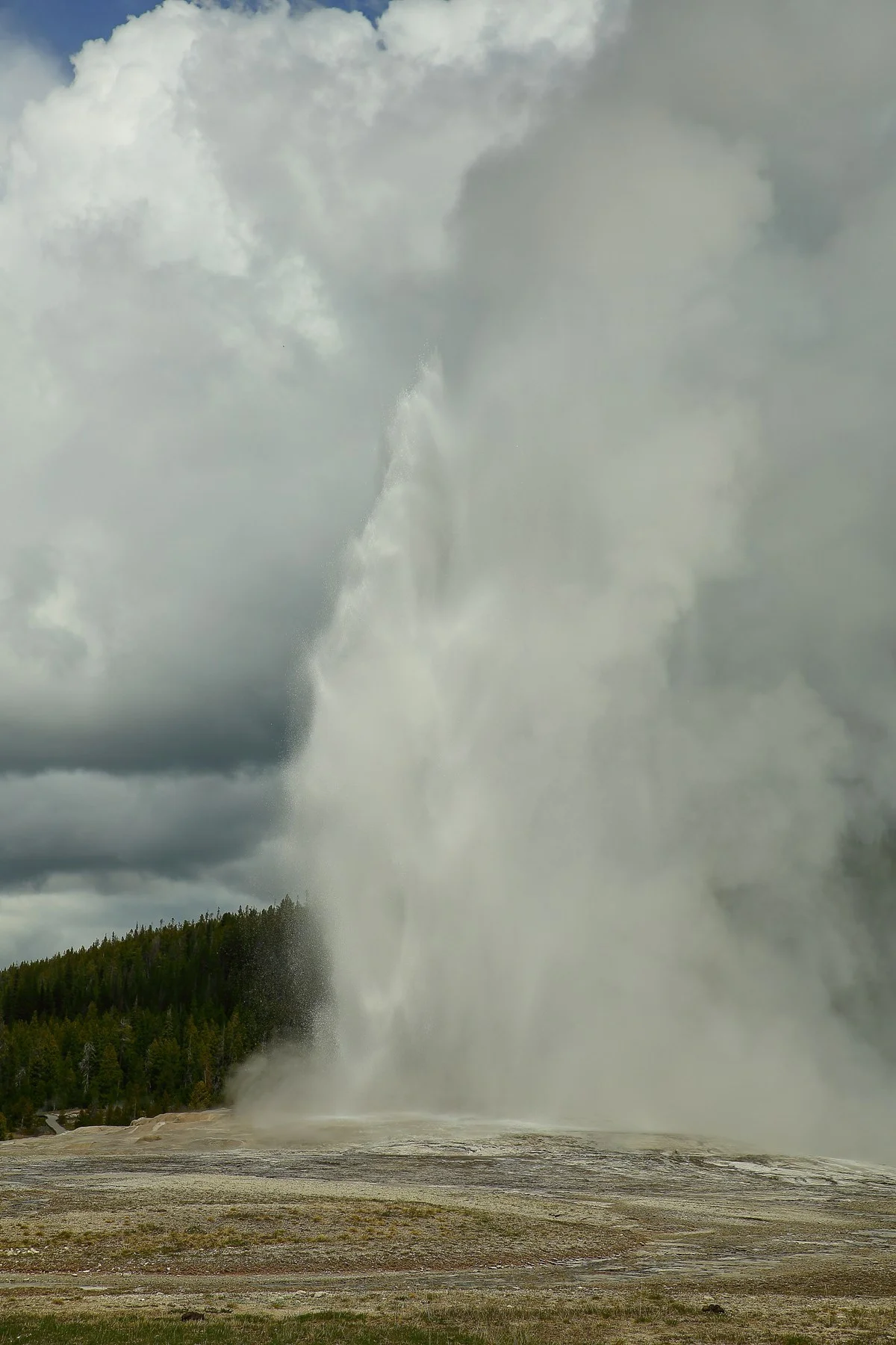 USA,Yellowstone Nat Park,Old Faithful,-914.JPG