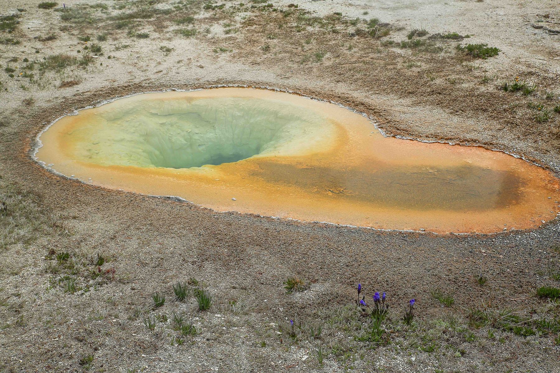 USA,Yellowstone Nat Park,Old Faithful,-888.JPG