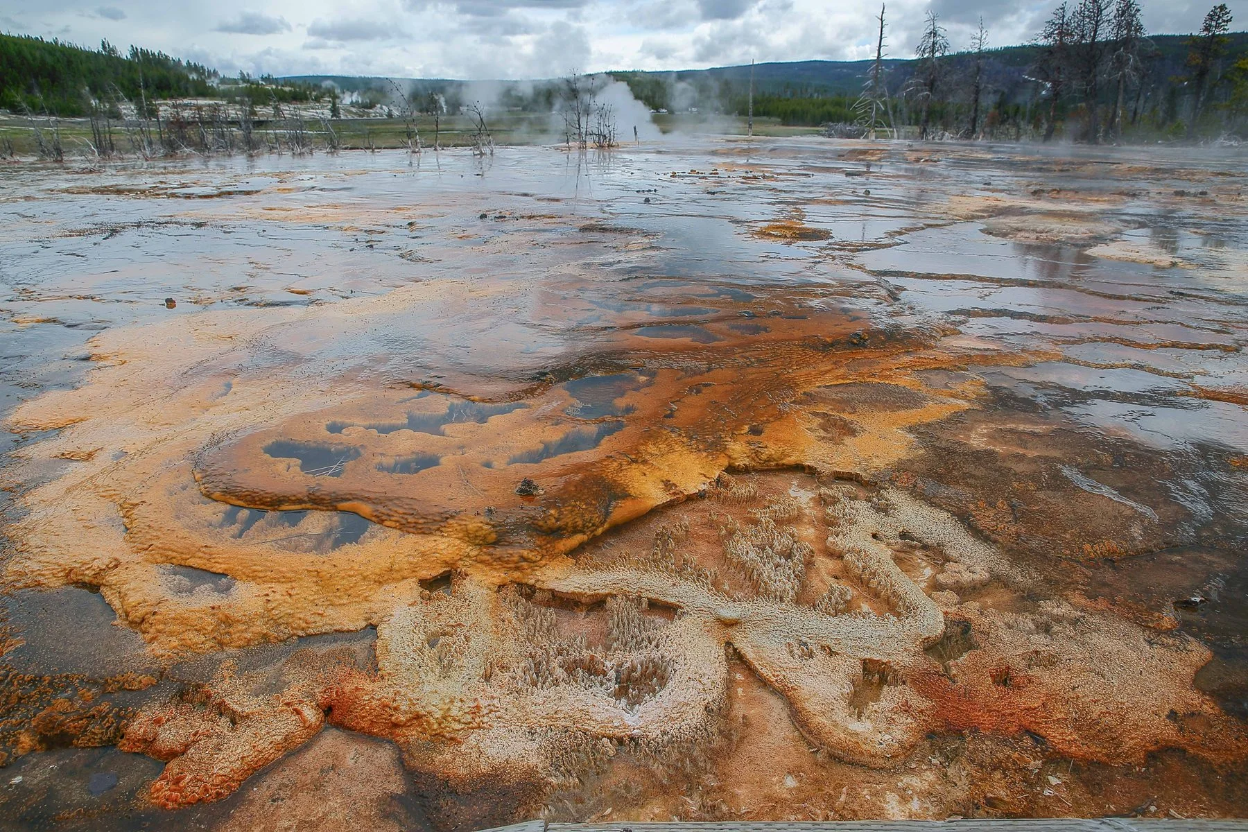 USA,Yellowstone Nat Park,Old Faithful,-921.JPG