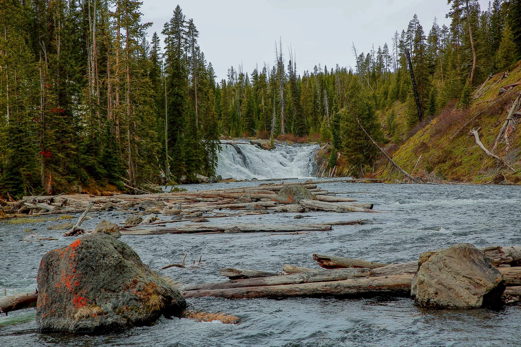 USA,Yellowstone,Lewis Falls,-1177.JPG