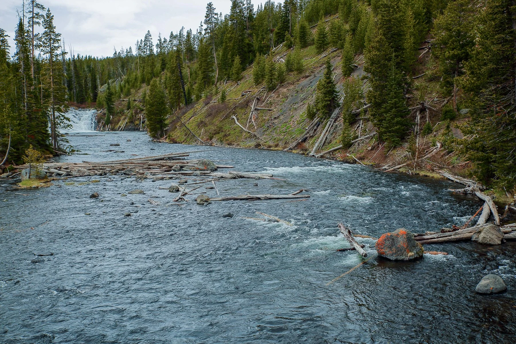 USA,Yellowstone,Lewis Falls,-1179.JPG