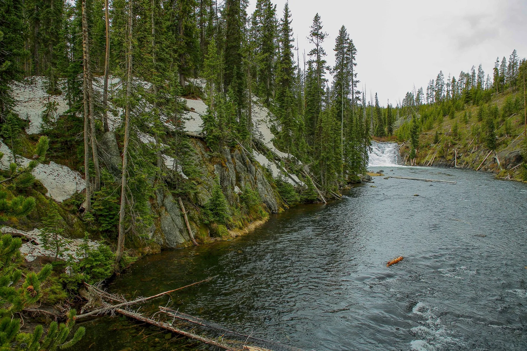 USA,Yellowstone,Lewis Falls,-1181.JPG