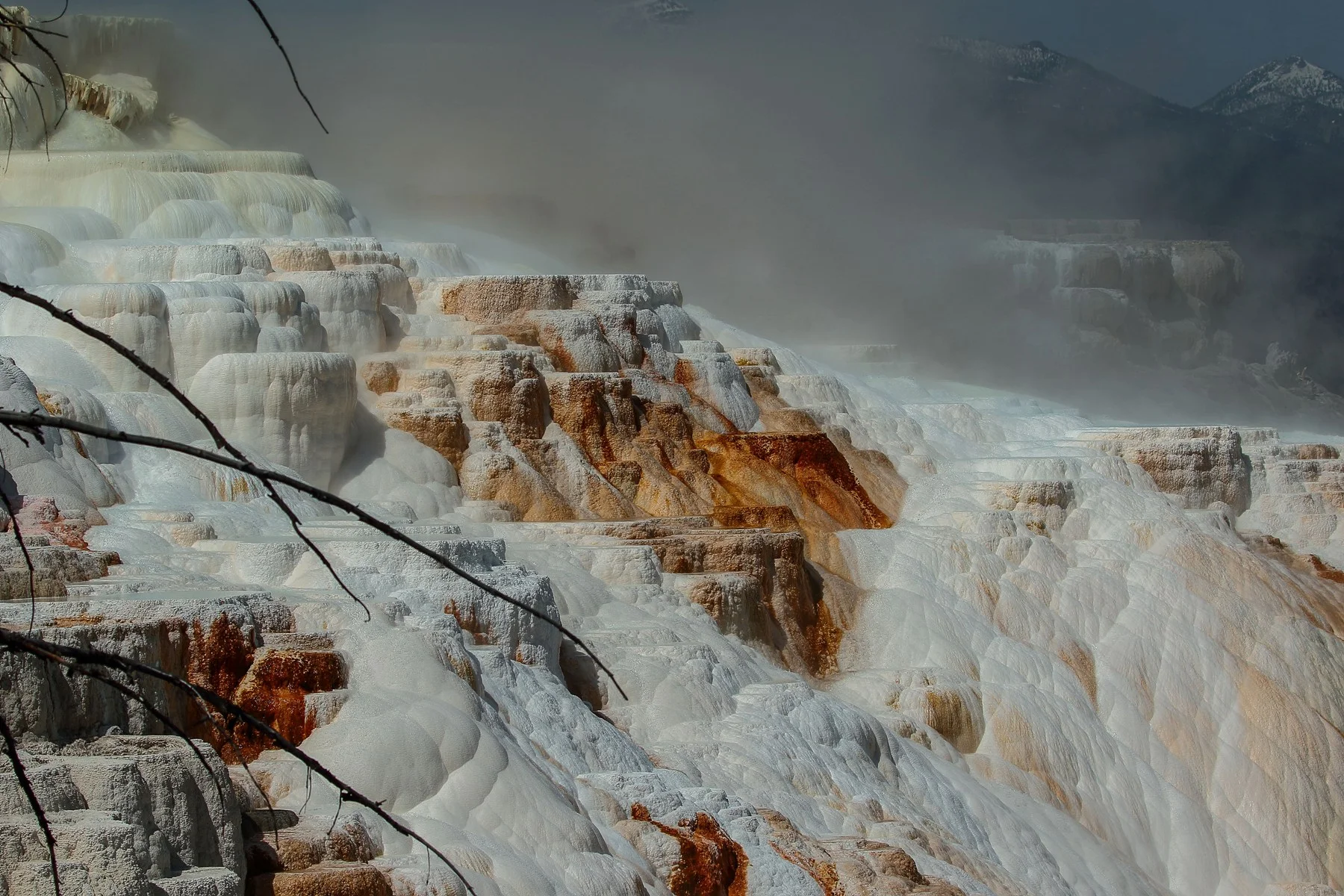 USA,Yellowstone,Mammoth Hot Springs,477,-.JPG