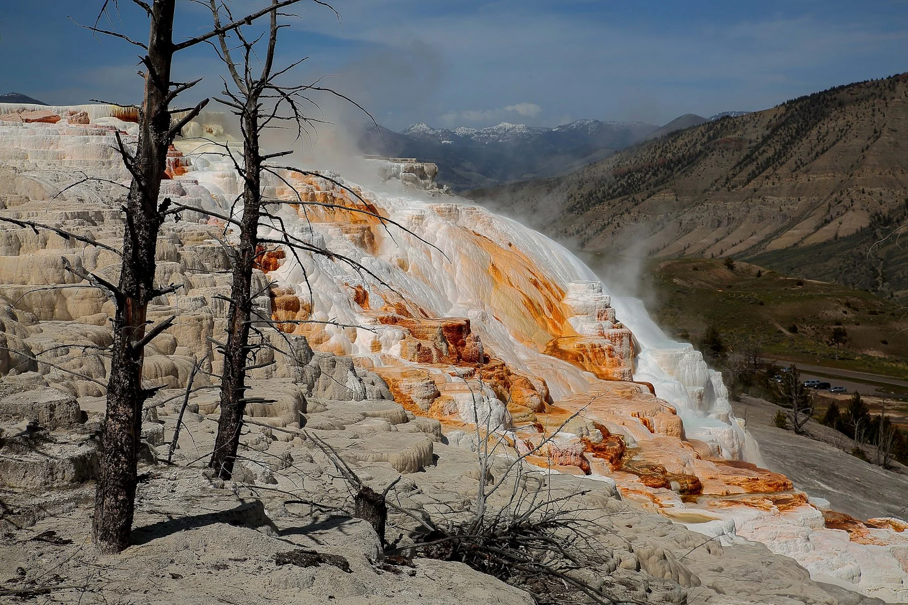 USA,Yellowstone,Mammoth Hot Springs,731,-.JPG