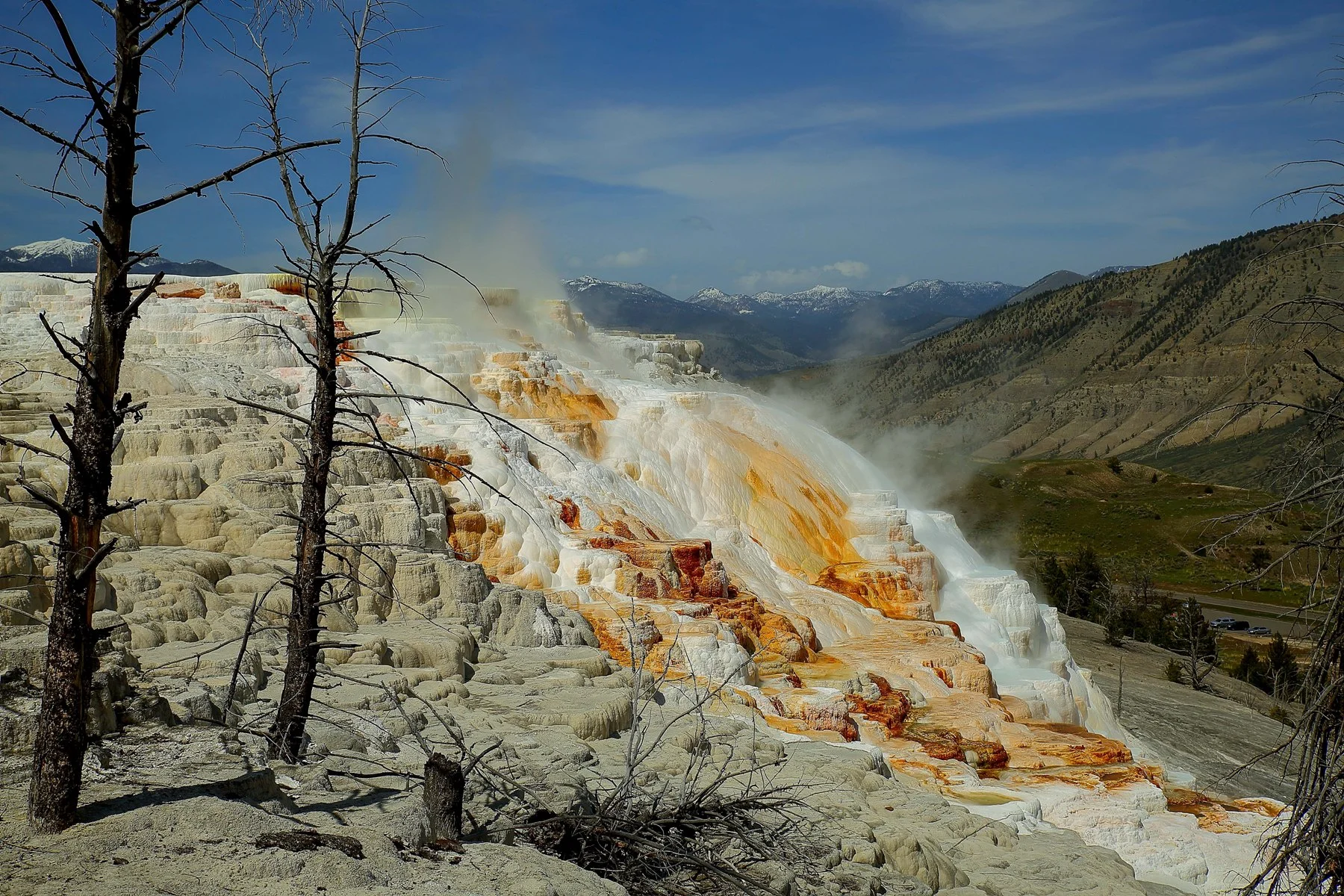 USA,Yellowstone,Mammoth Hot Springs,732,-.JPG