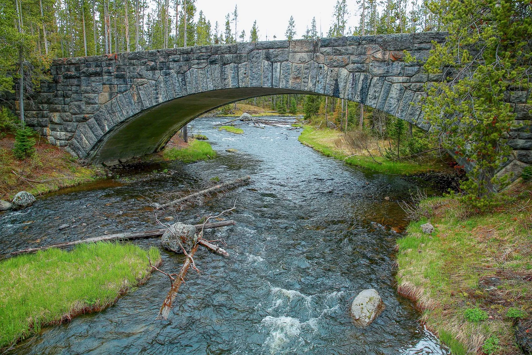 USA,Yellowstone,Moose Falls,-1165.JPG