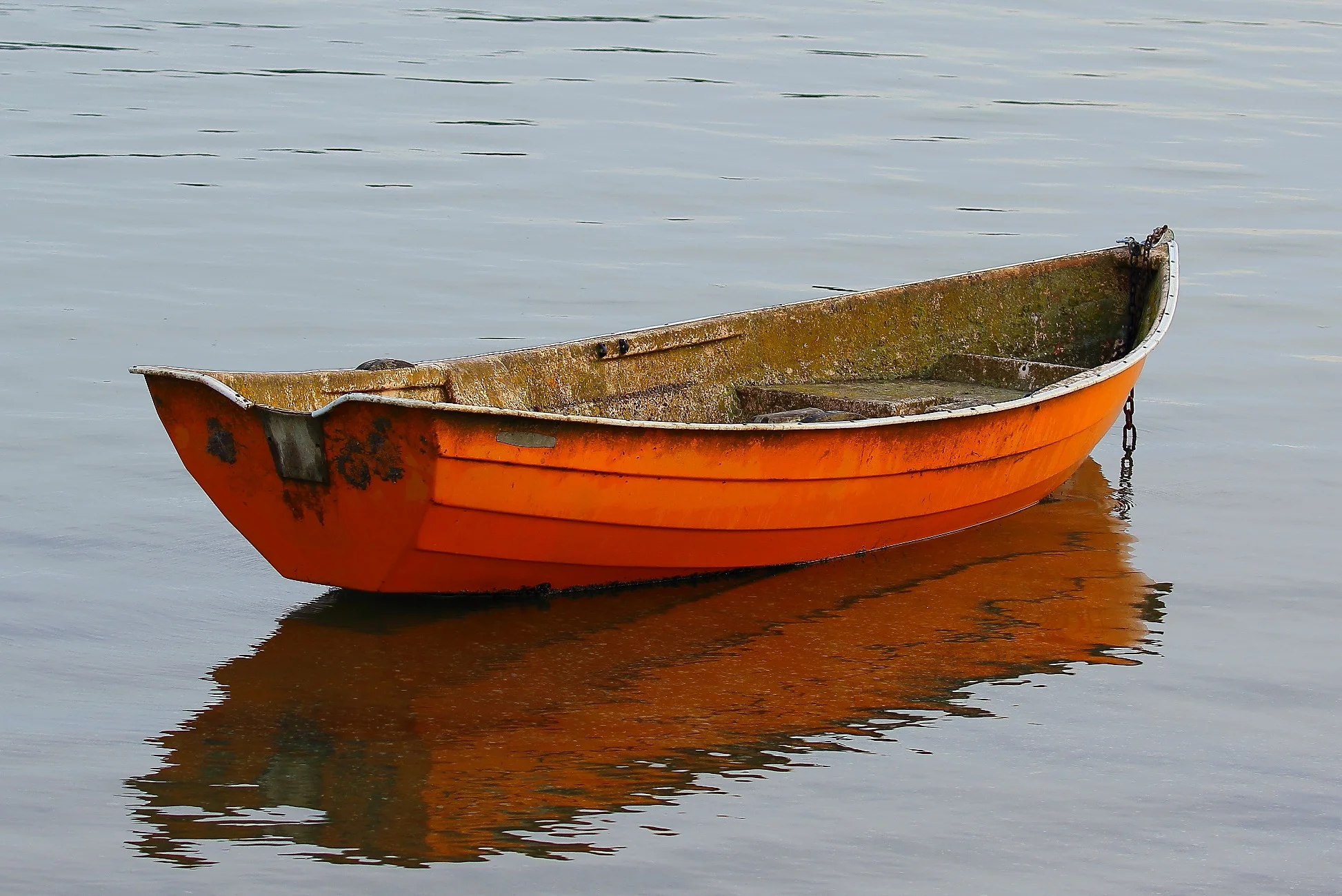 Dinghy,186,-.jpeg