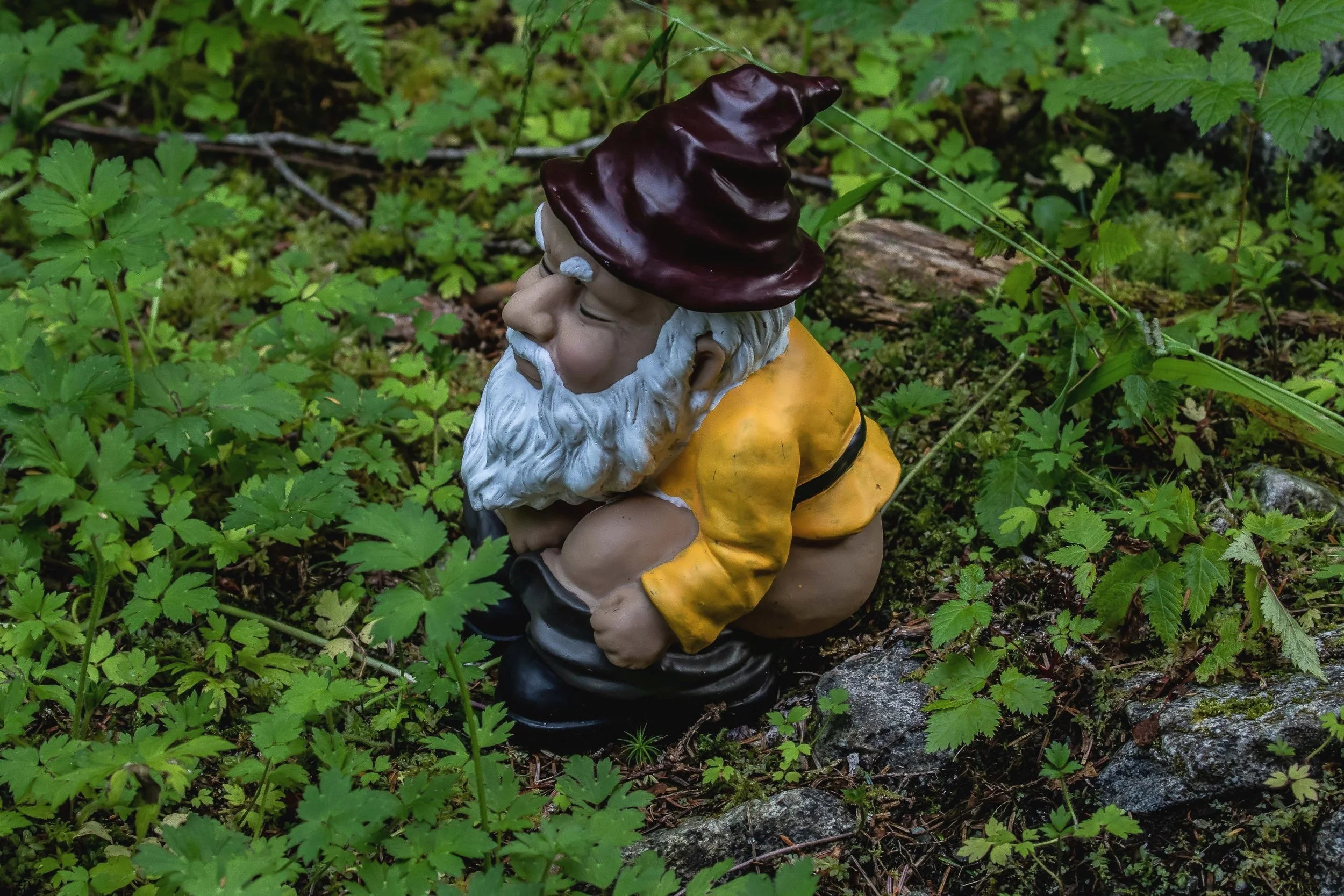 Alaska,Cruise,Chicagof Is,Elfin Cove,-096.JPG