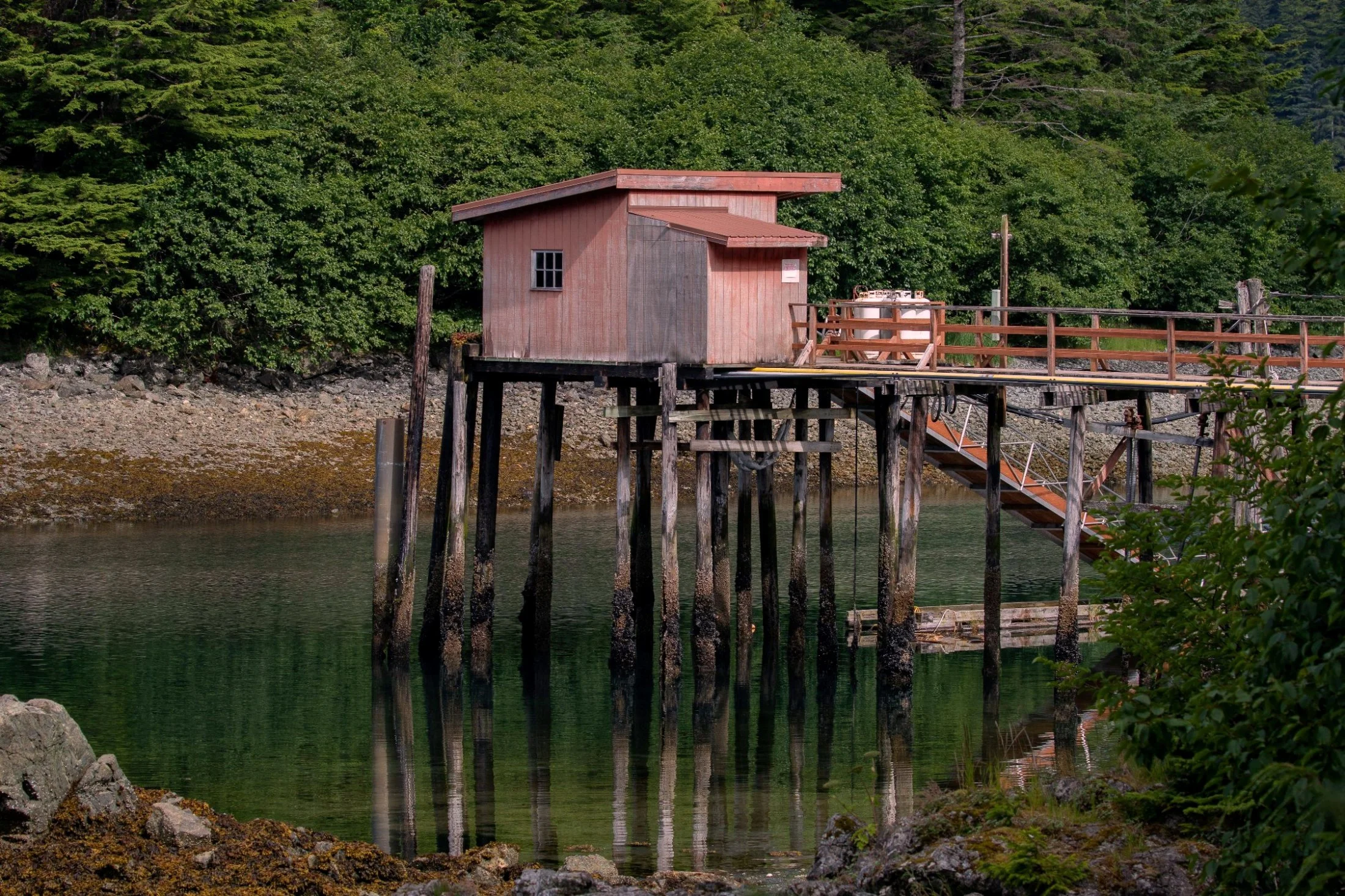 Alaska,Cruise,Chicagof Is,Elfin Cove,-097a.JPG