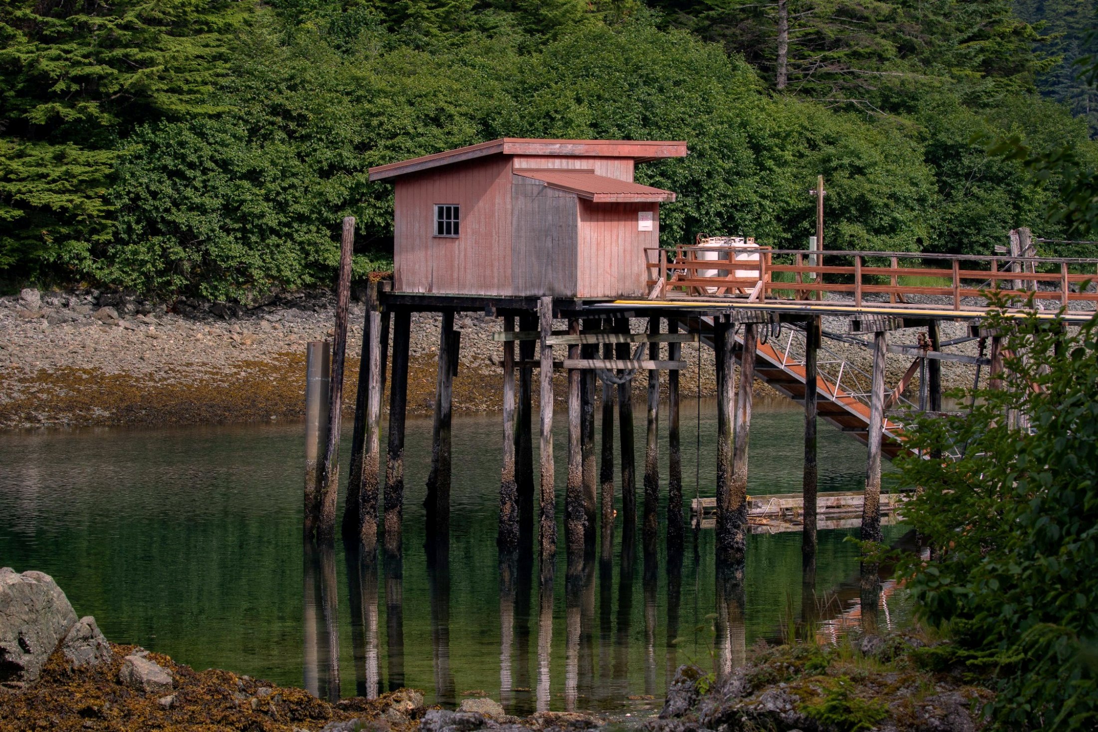 Alaska,Cruise,Chicagof Is,Elfin Cove,-097a.JPG