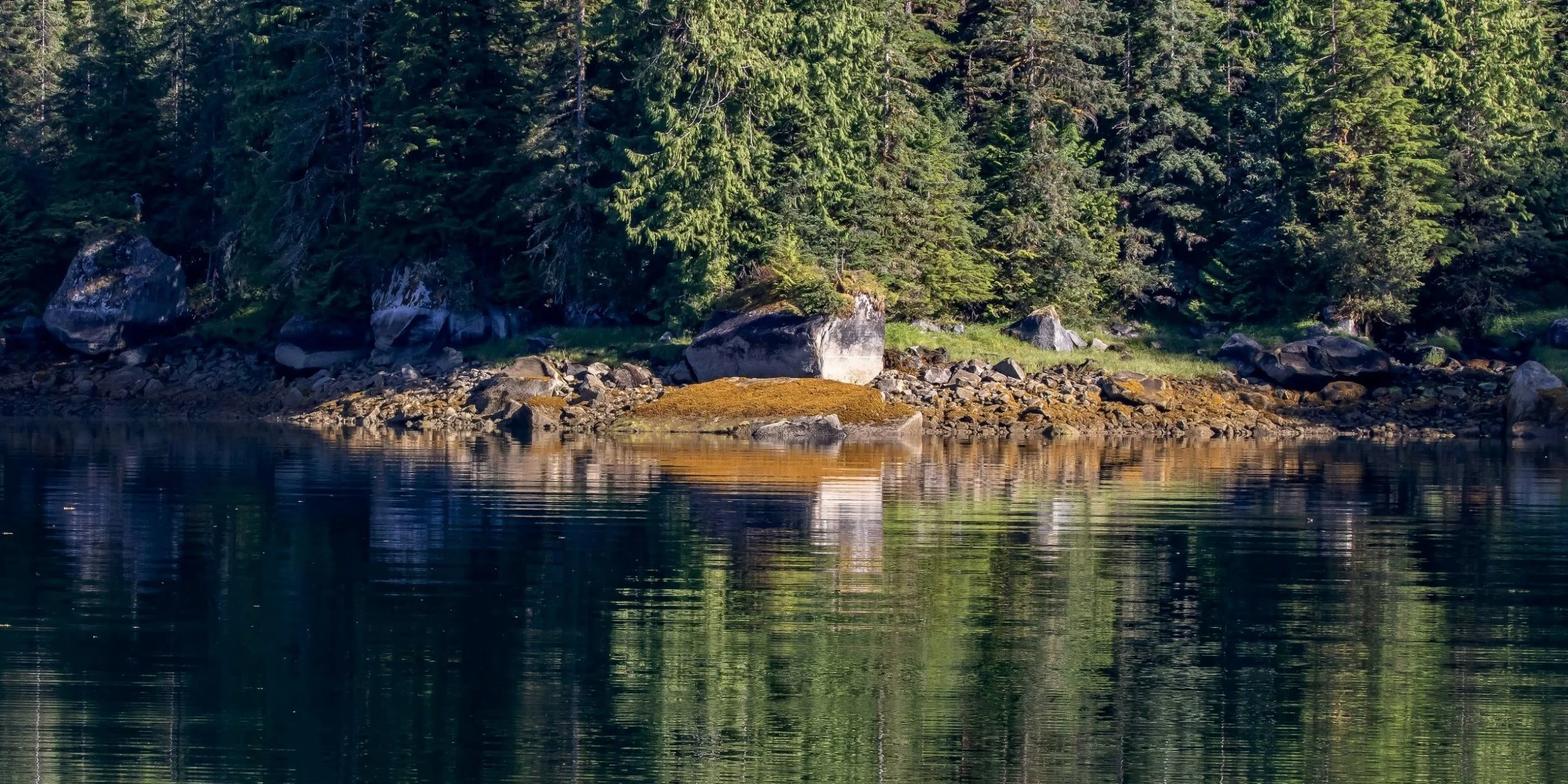 Alaska,Cruise 2,Bailey Bay,-1300.JPG