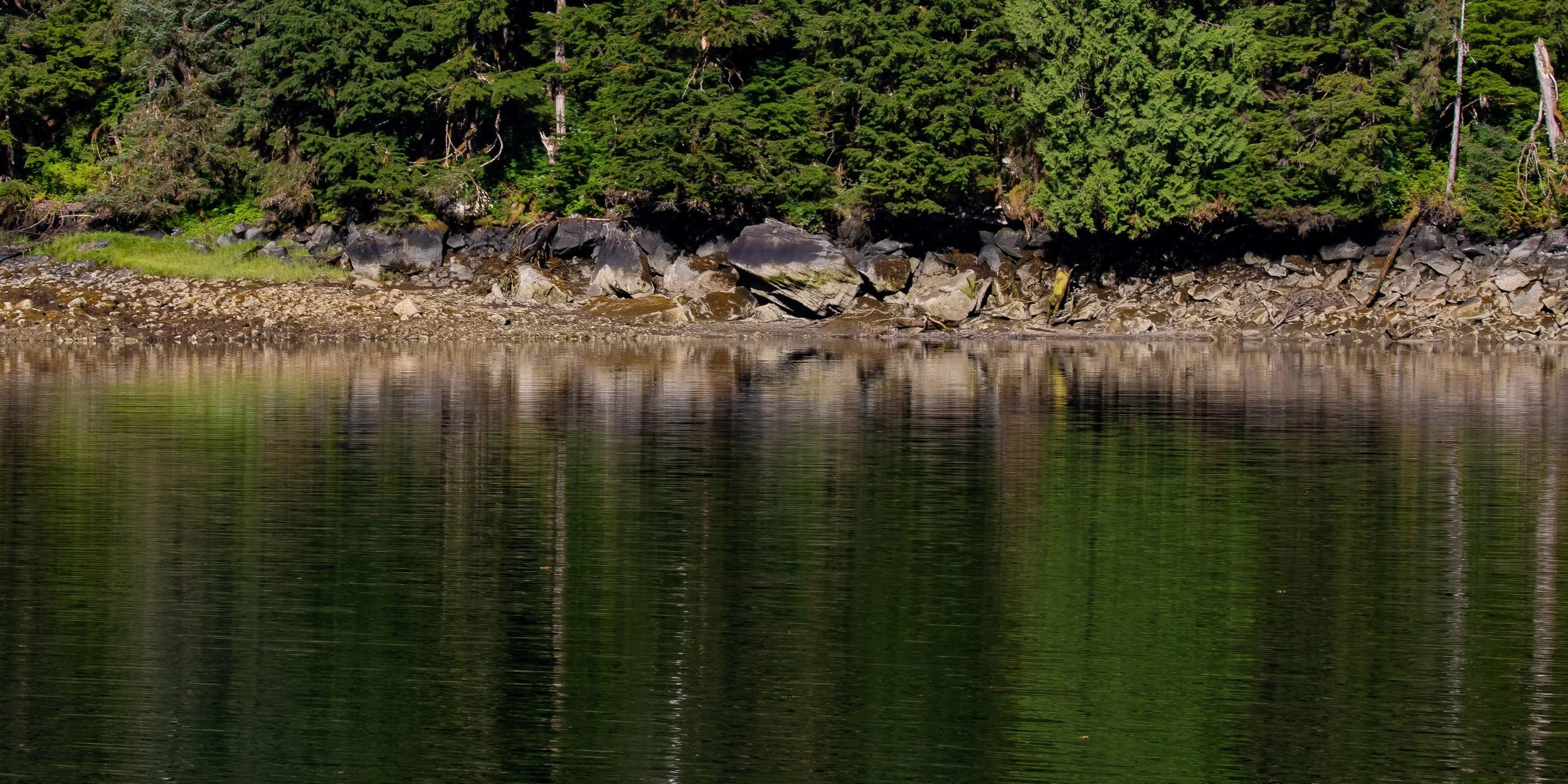 Alaska,Cruise 2,Bailey Bay,-1302.JPG