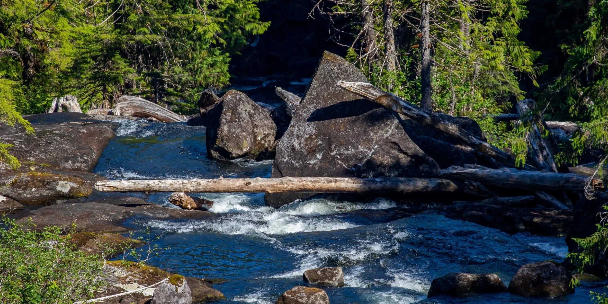 Alaska,Cruise 2,Bailey Bay,Lake Schollum,-1324.JPG