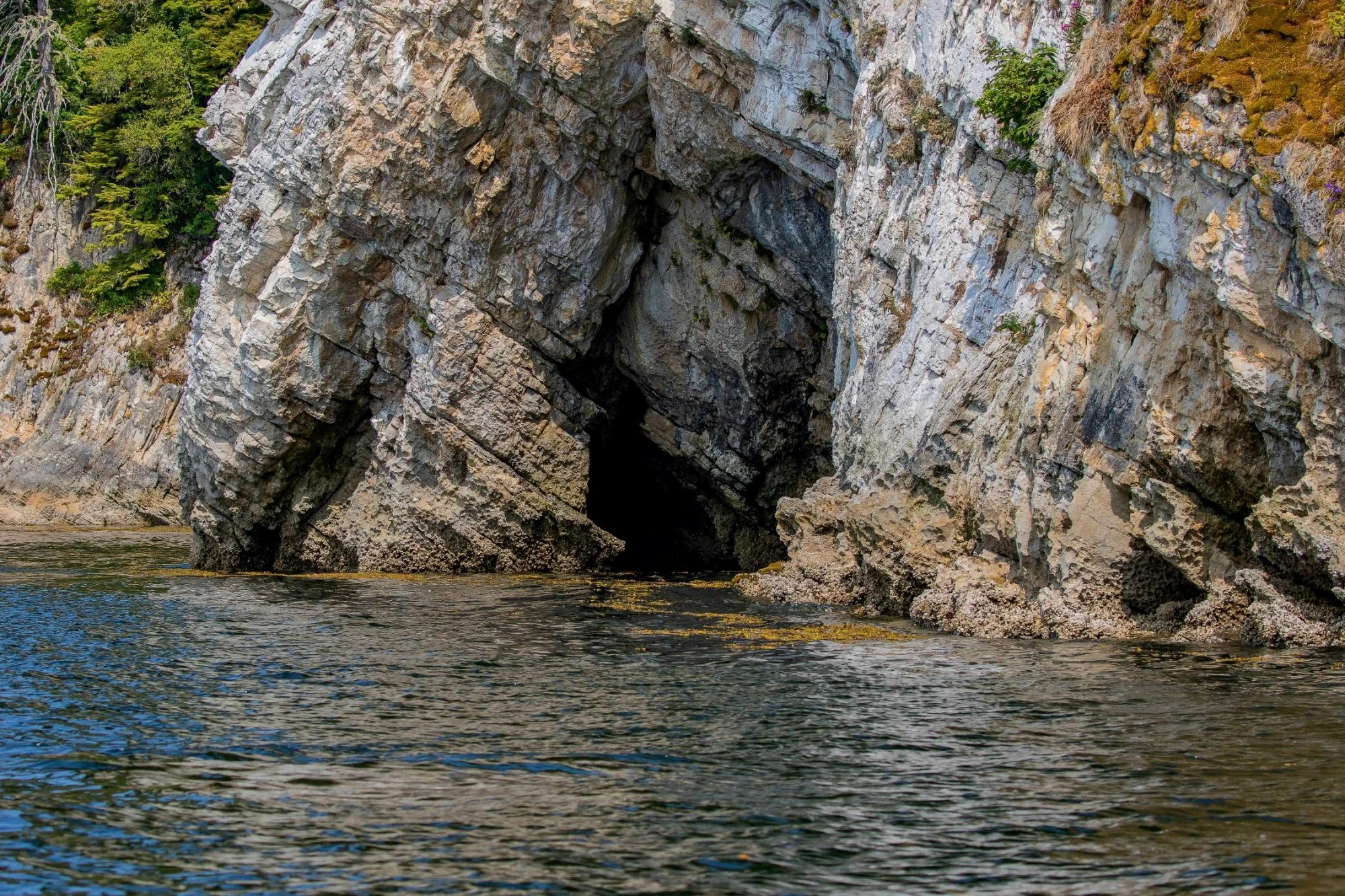 Alaska,Cruise 2,Kuiu Is,-1175.JPG