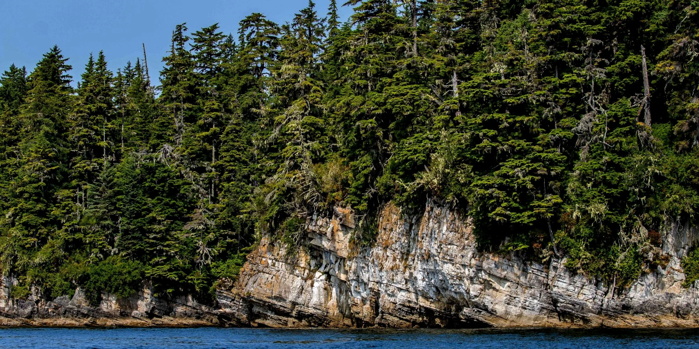 Alaska,Cruise 2,Kuiu Is,-1187.JPG