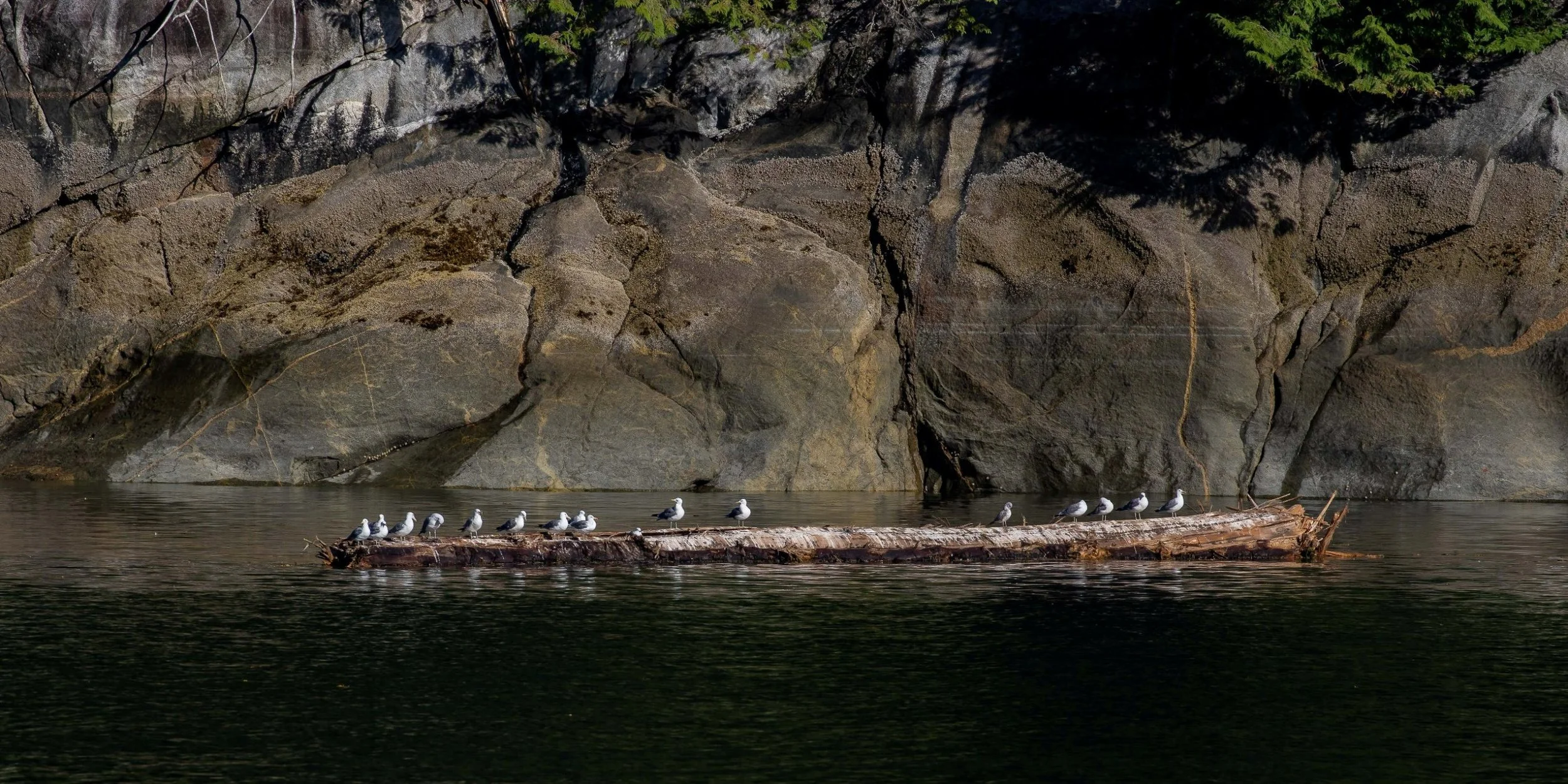 Alaska,Cruise 2,Misty Fjords,-1338.JPG