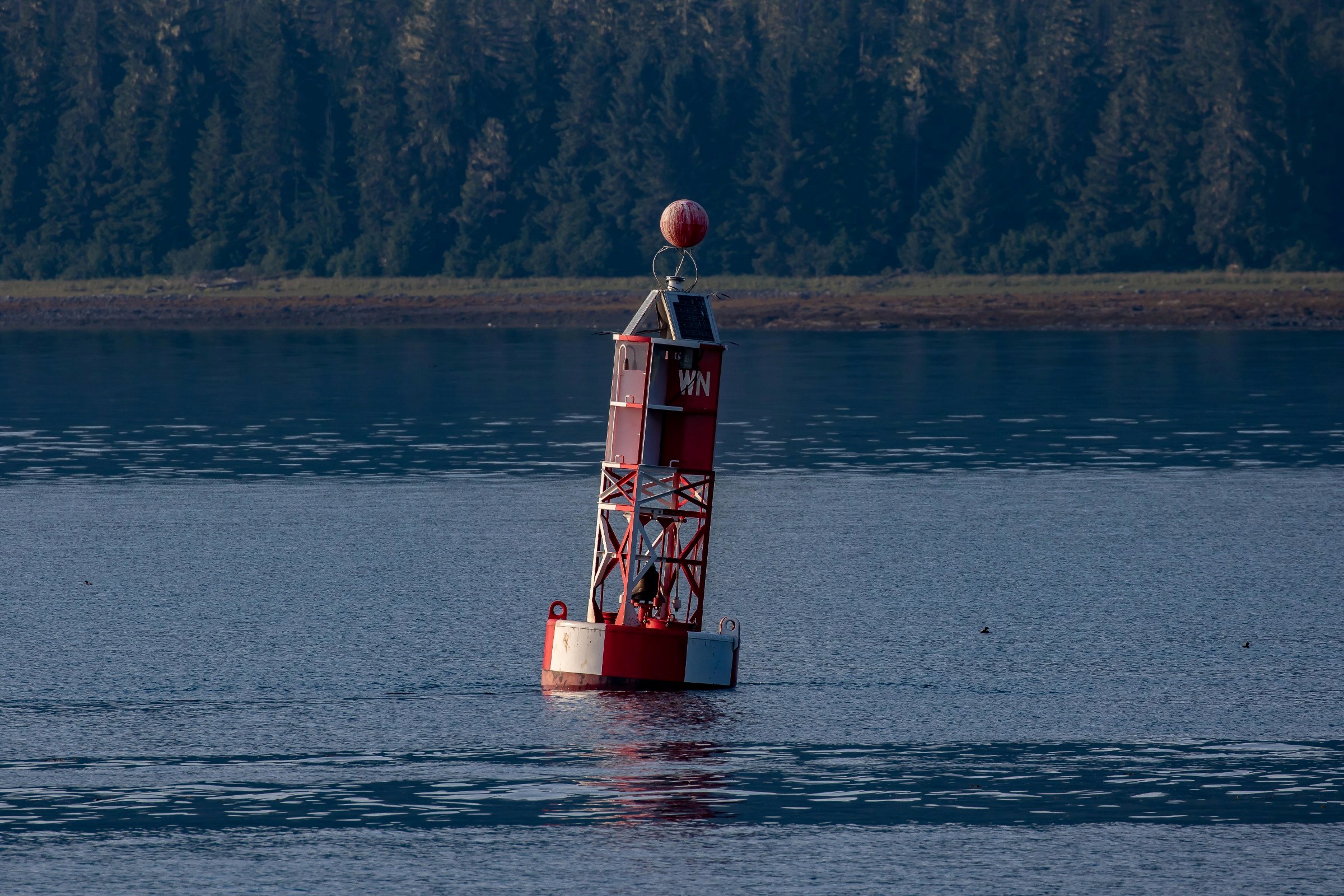 Alaska,Cruise 2,The Narrows,-1229a.JPG