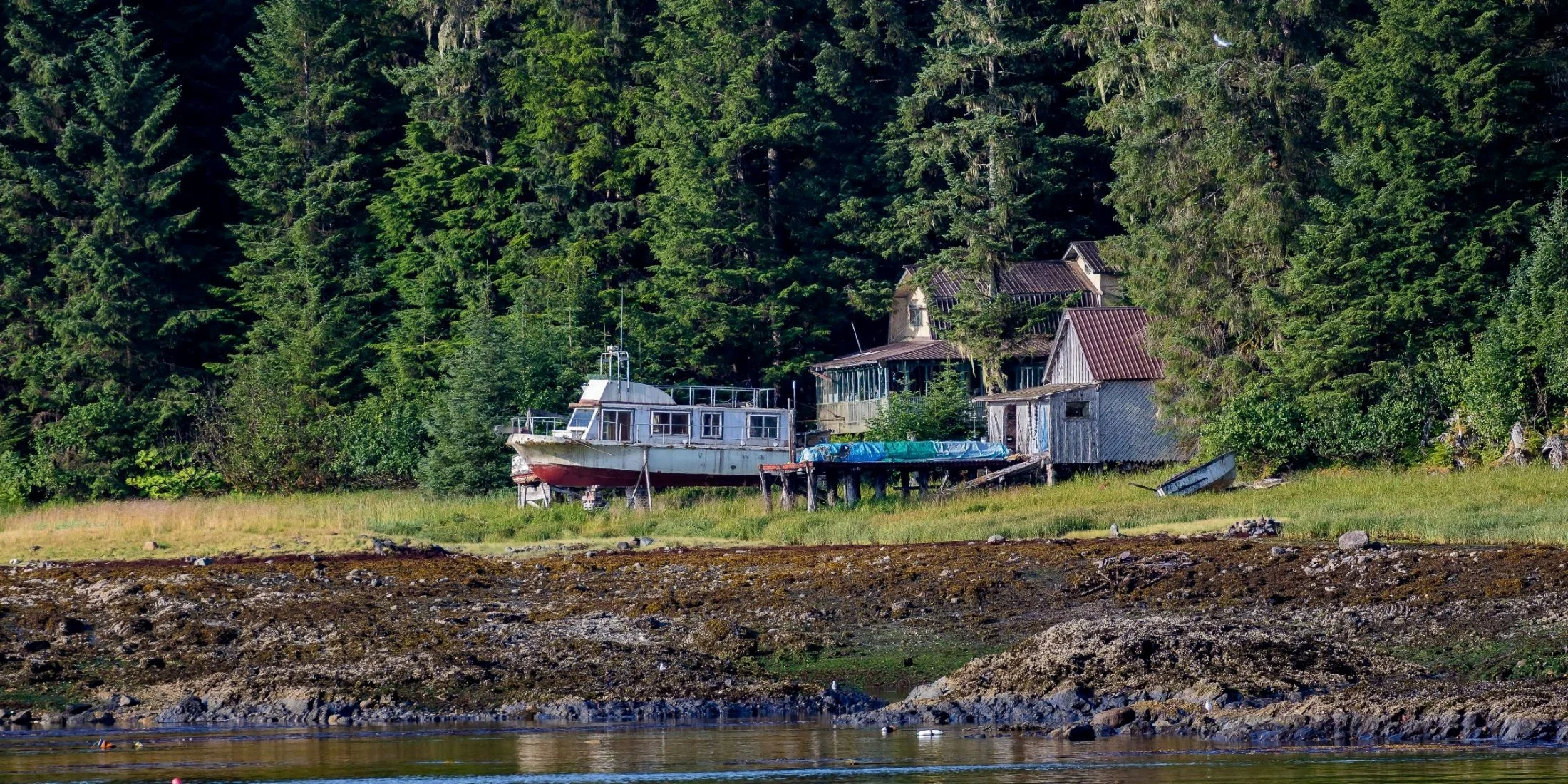 Alaska,Cruise 2,The Narrows,-1254.JPG