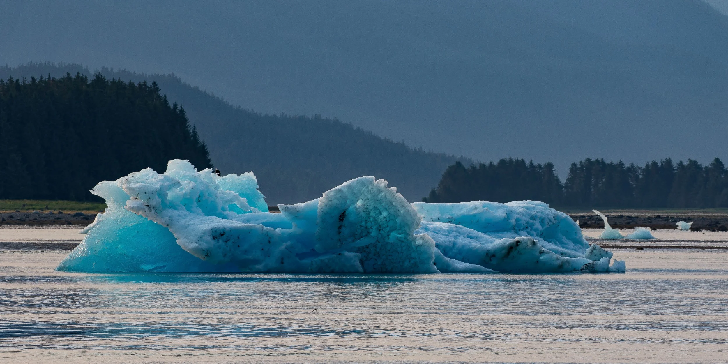 Alaska,Cruise 2,Tracy Arm Fjord,-882.JPG