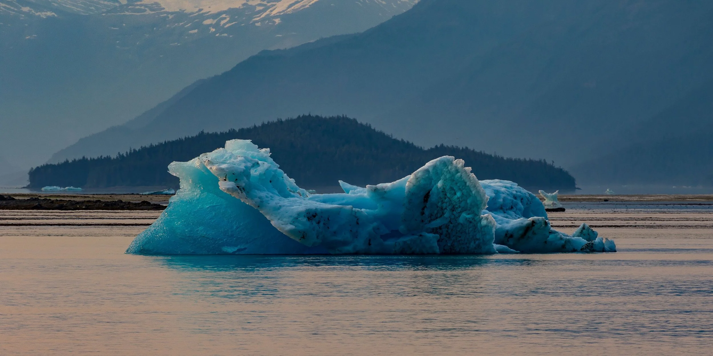 Alaska,Cruise 2,Tracy Arm Fjord,-883.JPG