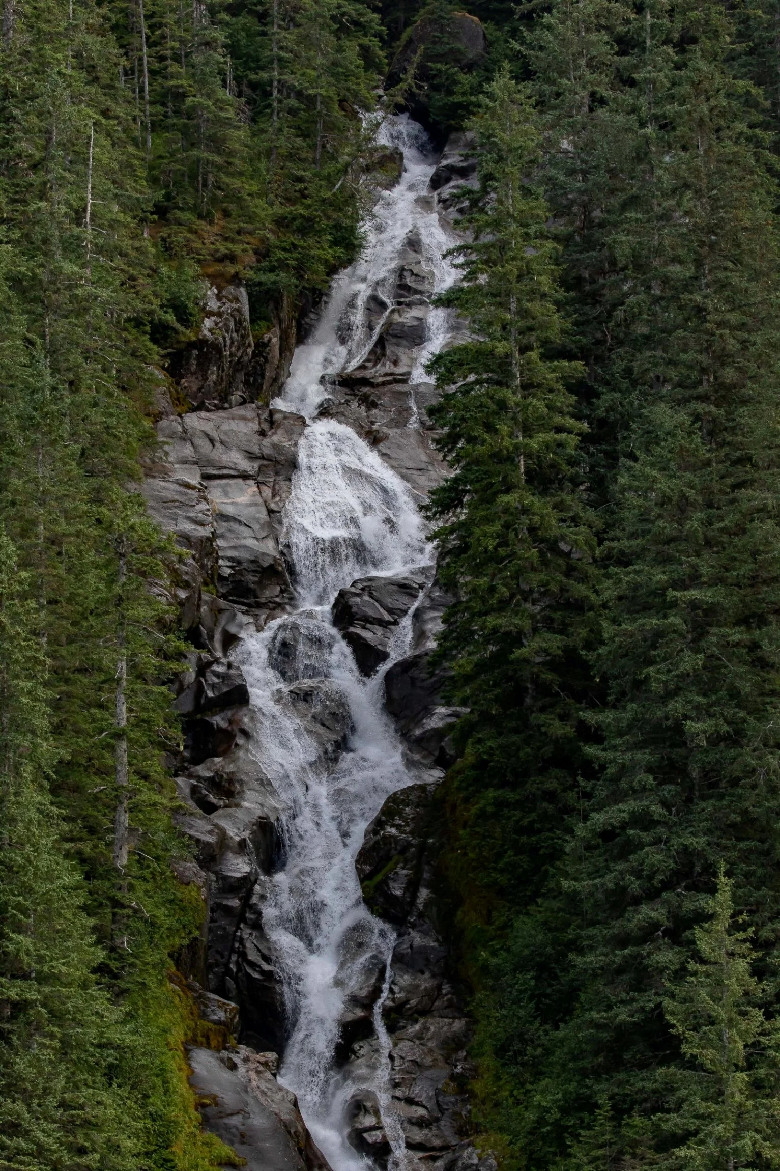Alaska,Cruise 2,Tracy Arm Fjord,-893.JPG