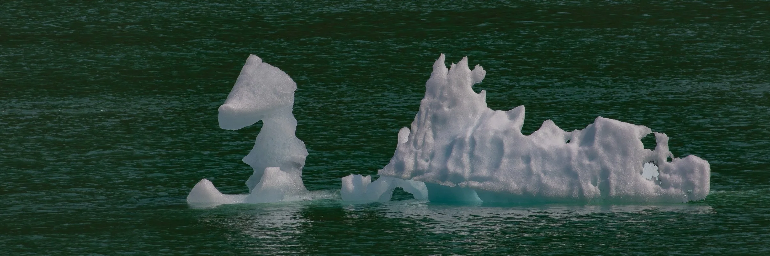 Alaska,Cruise 2,Tracy Arm Fjord,-919.JPG