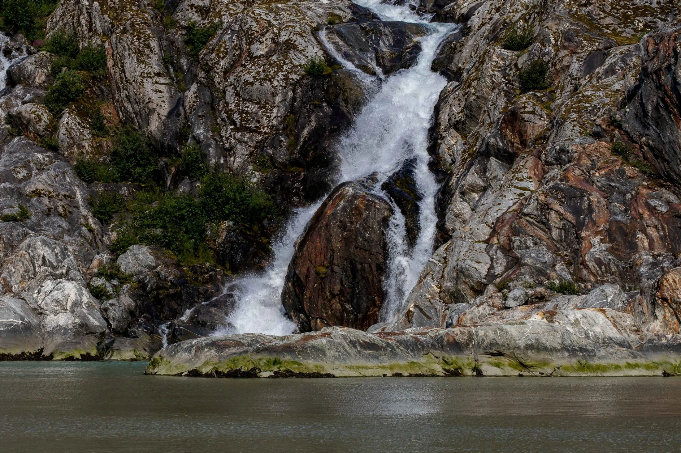 Alaska,Cruise 2,Tracy Arm Fjord,-908.JPG