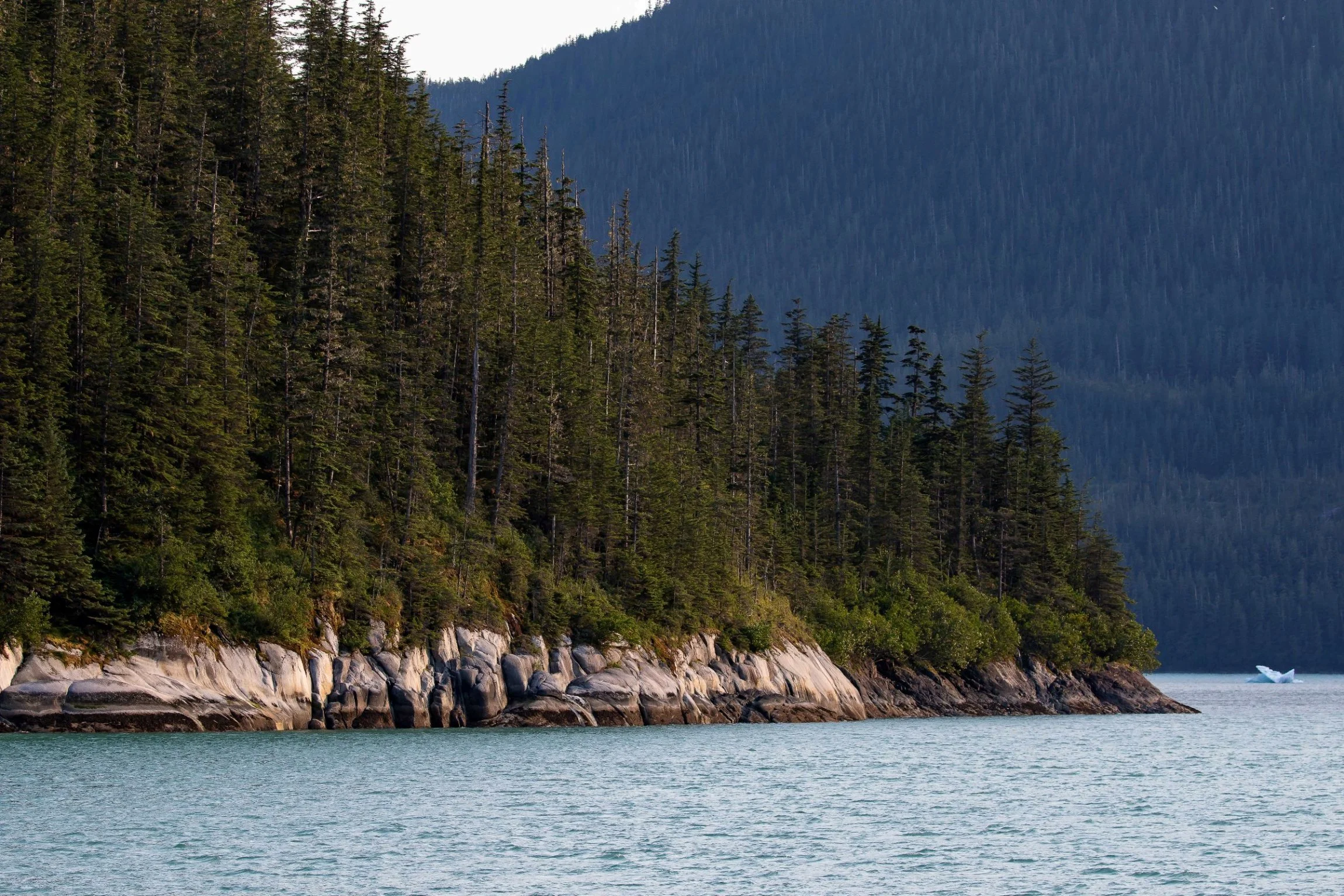 Alaska,Cruise 2,Tracy Arm Fjord,-937.JPG