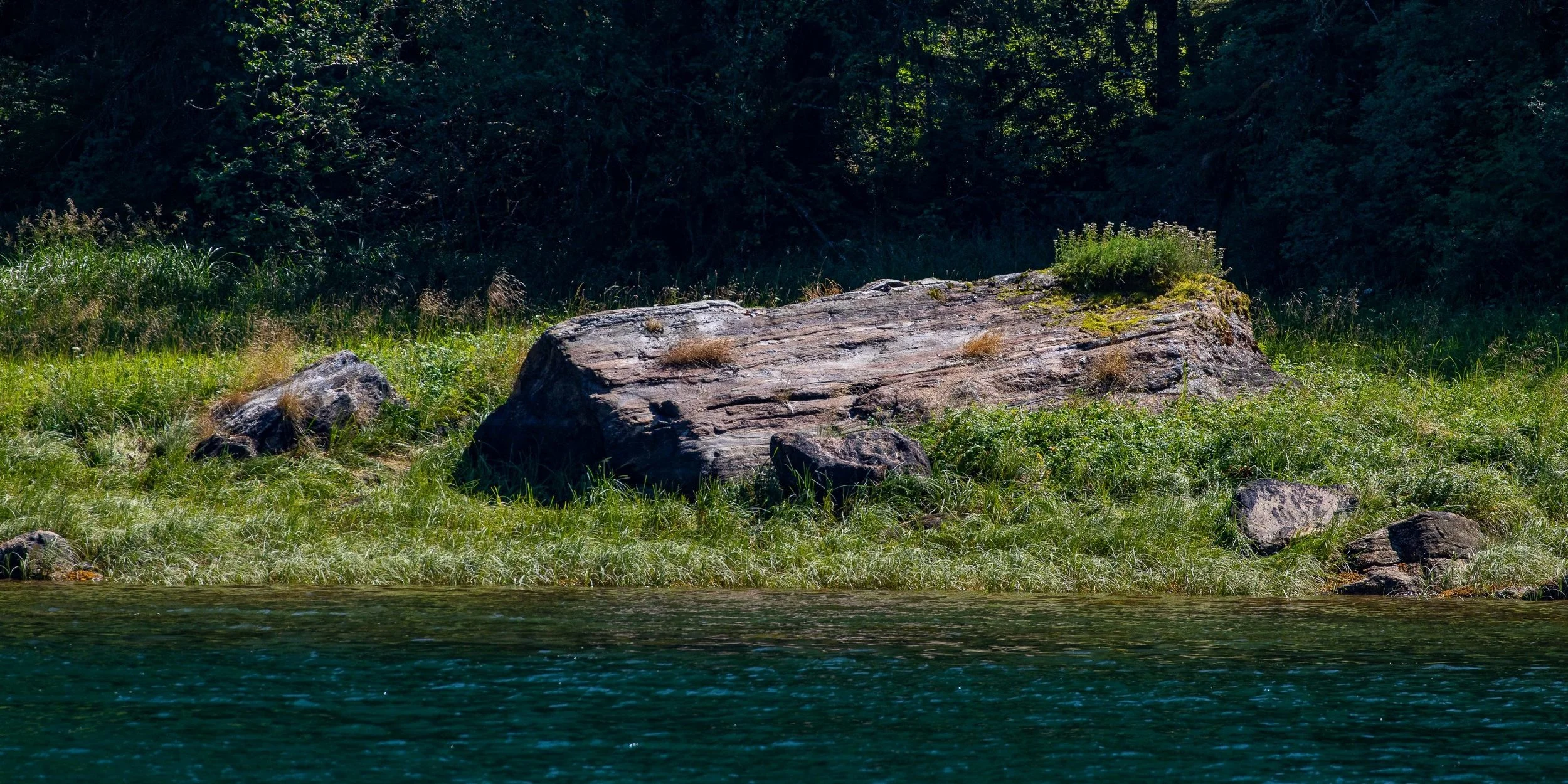 Alaska,Cruise 2,Waller Cove,-1435.JPG