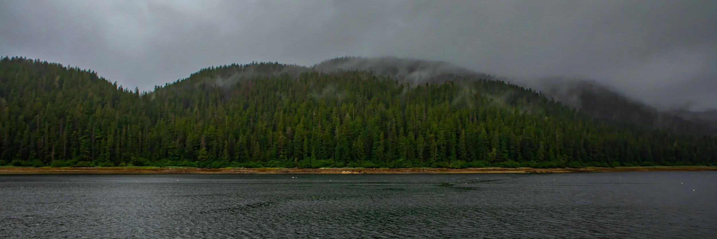 Alaska,Cruise,Baranof Is,Deep Bay,-303a.JPG