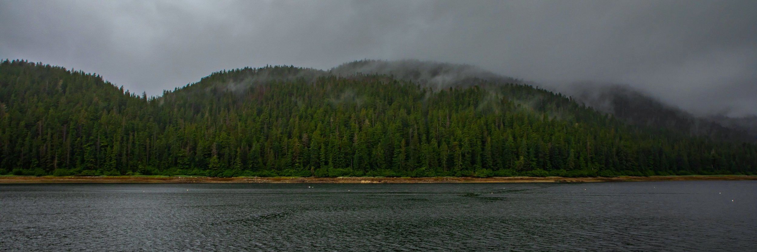 Alaska,Cruise,Baranof Is,Deep Bay,-303a.JPG