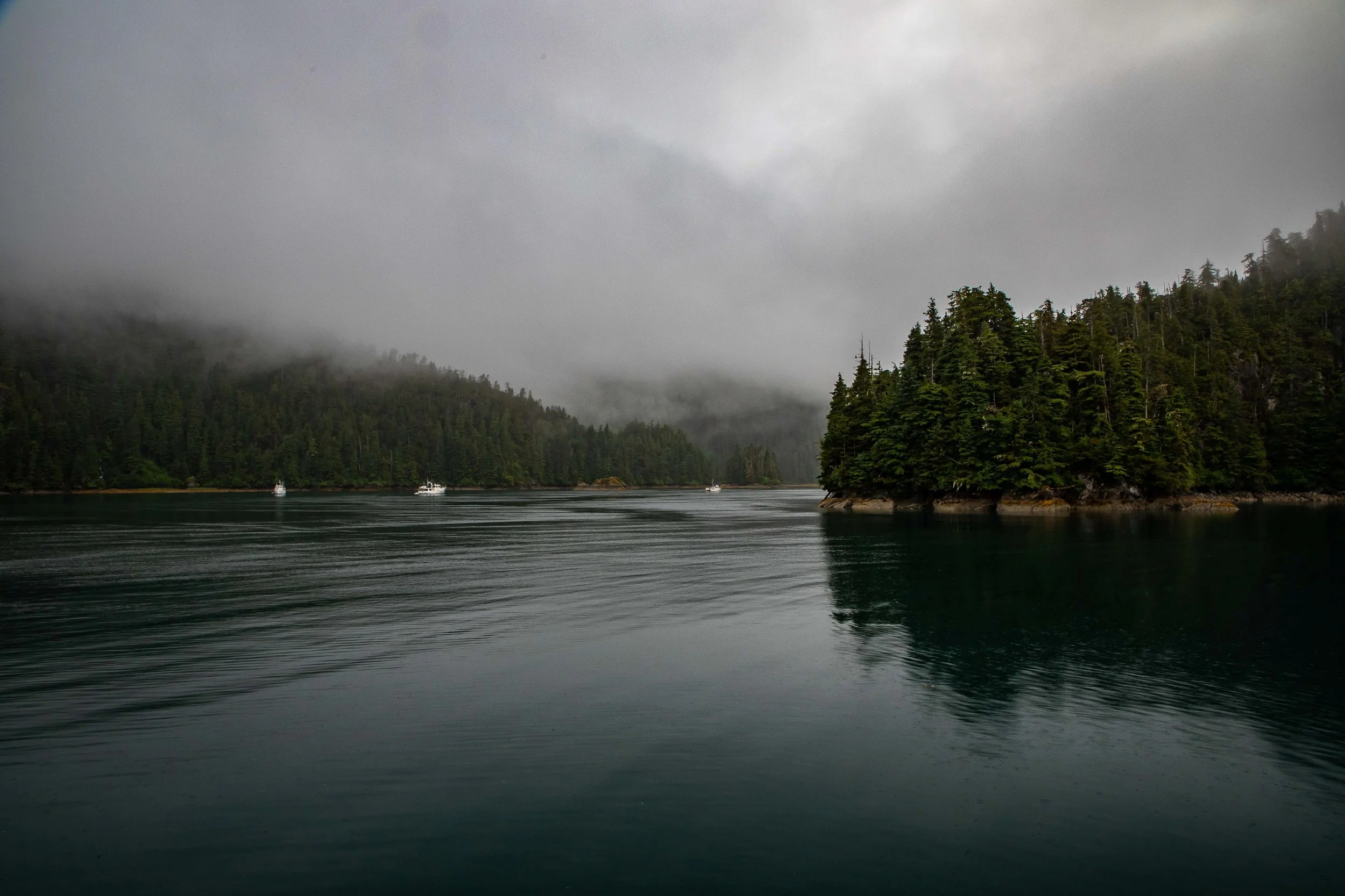 Alaska,Cruise,Baranof Is,Takatz Bay,-321a.JPG