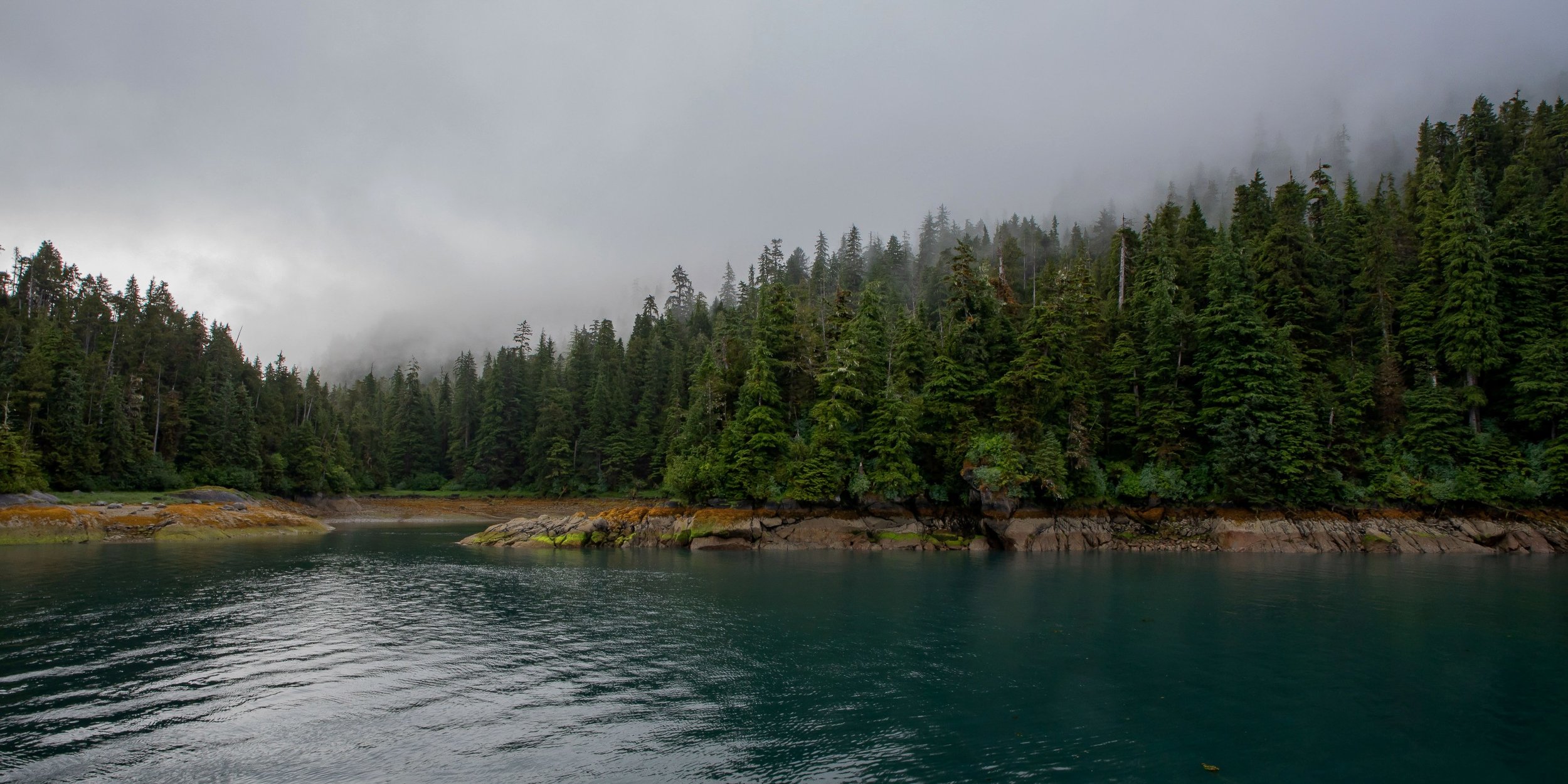 Alaska,Cruise,Baranof Is,Takatz Bay,-341a.JPG