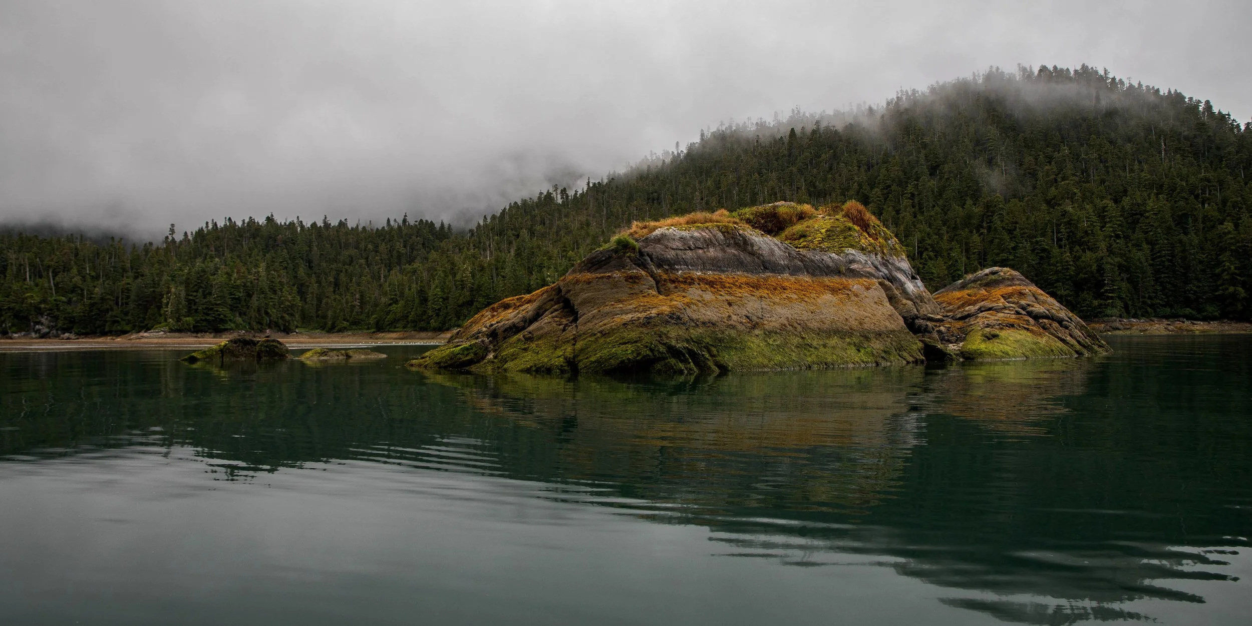 Alaska,Cruise,Baranof Is,Takatz Bay,-355a.JPG