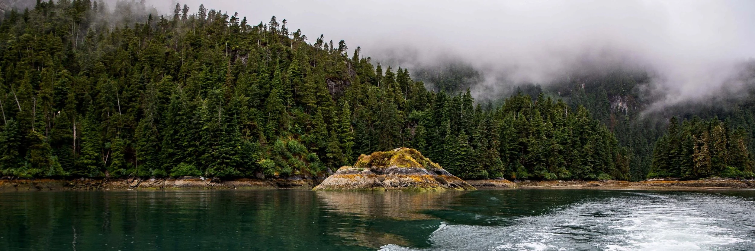 Alaska,Cruise,Baranof Is,Takatz Bay,-356a.JPG
