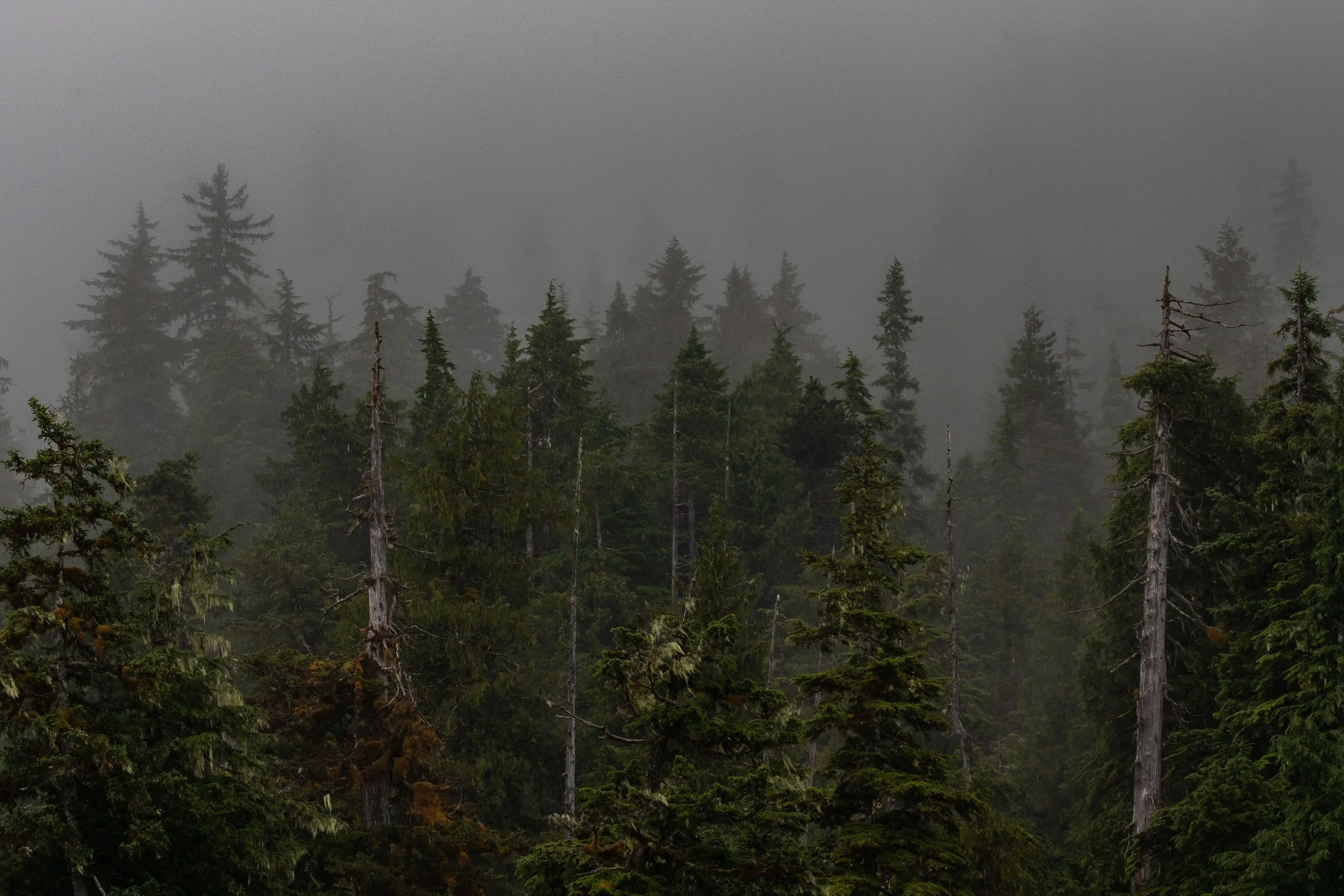 Alaska,Cruise,Baranof Is,Takatz Bay,-472.JPG