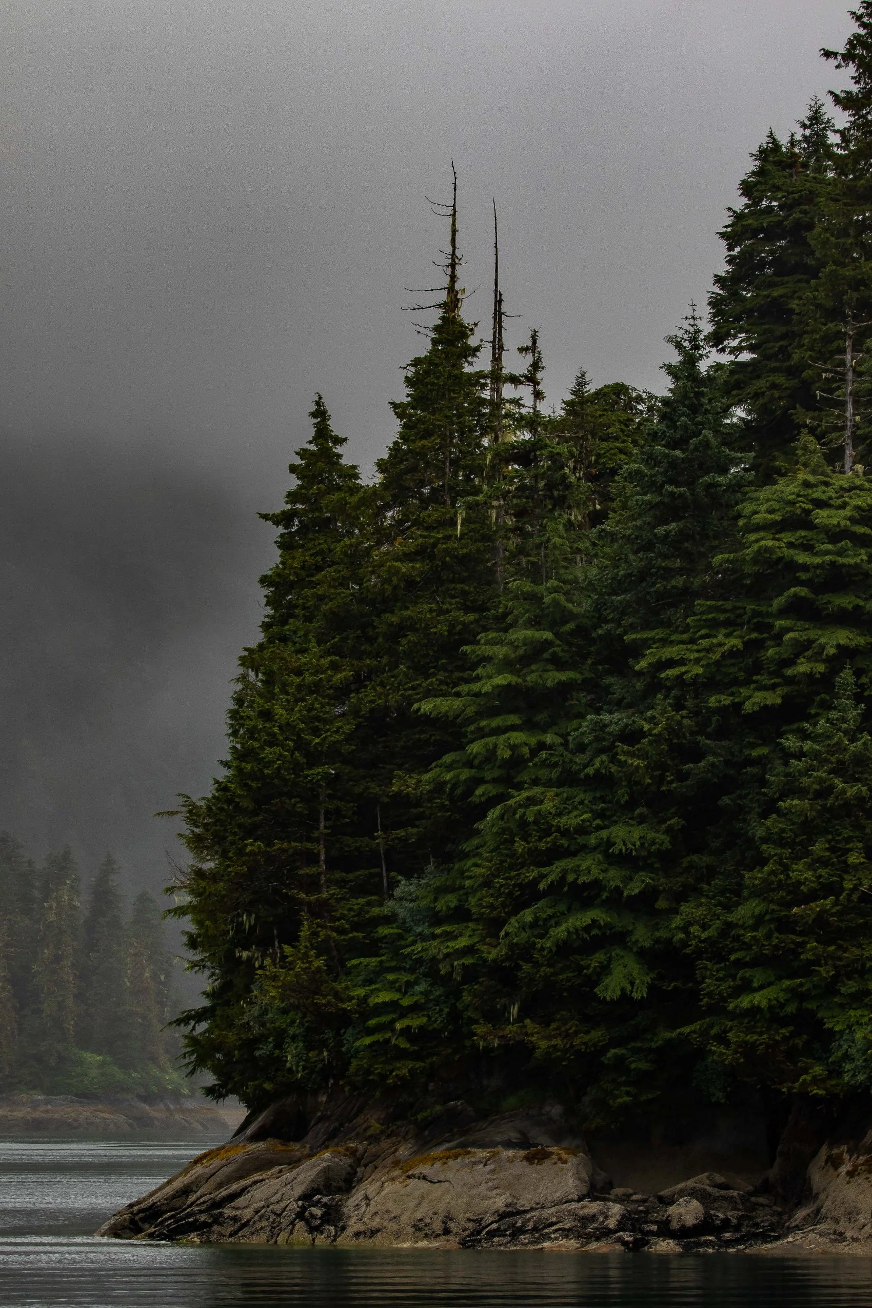 Alaska,Cruise,Baranof Is,Takatz Bay,-475.JPG