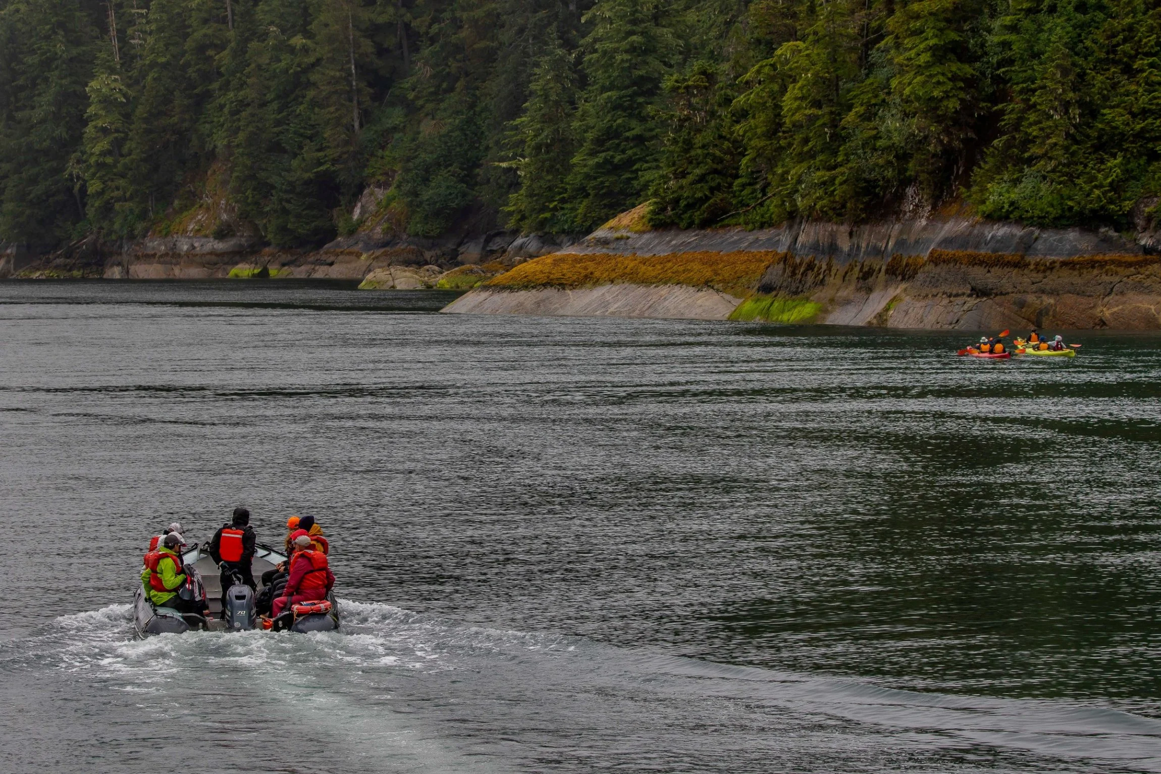 Alaska,Cruise,Baranof Is,Takatz Bay,-481.JPG