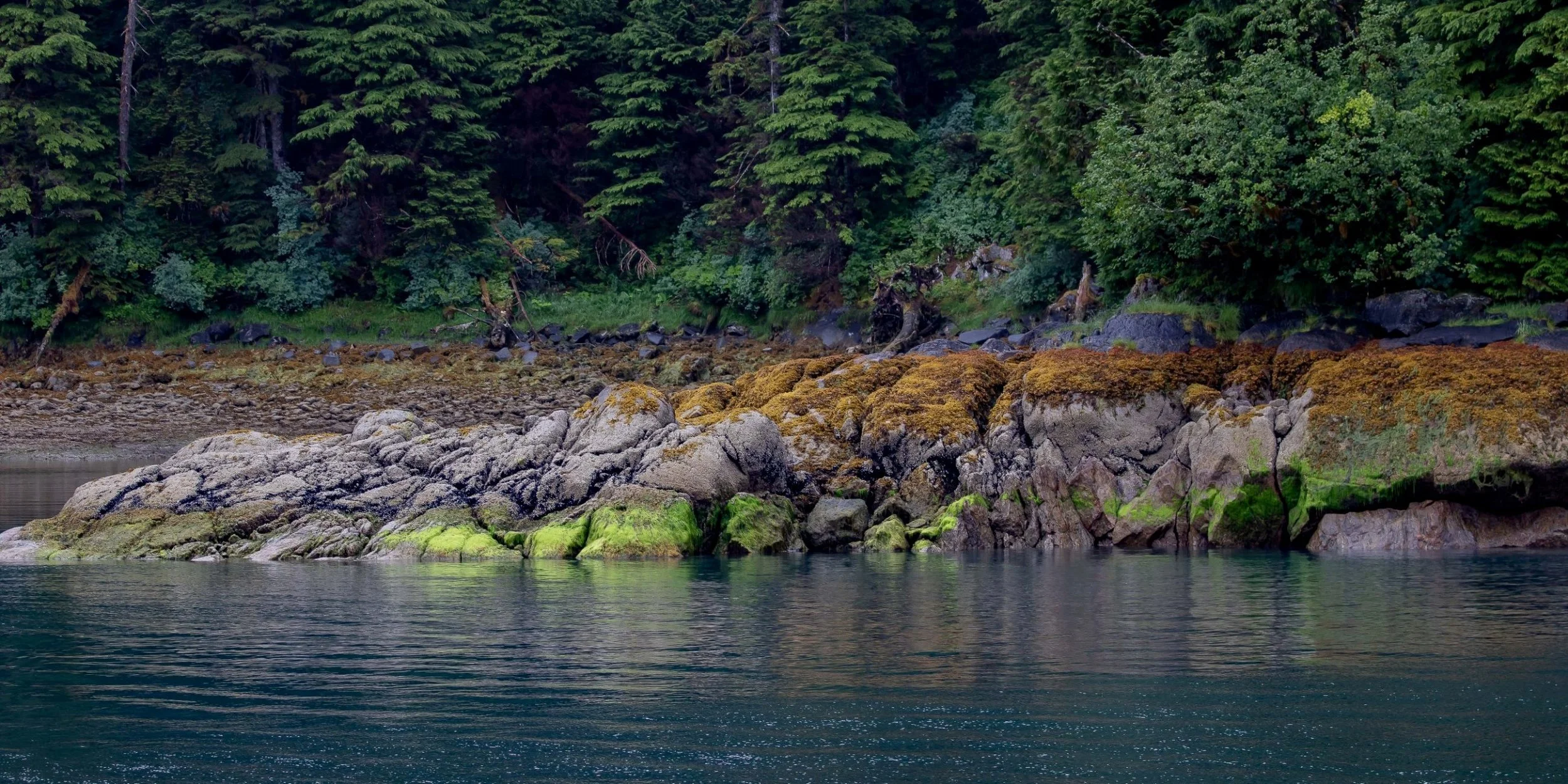 Alaska,Cruise,Baranof Is,Takatz Bay,-484.JPG