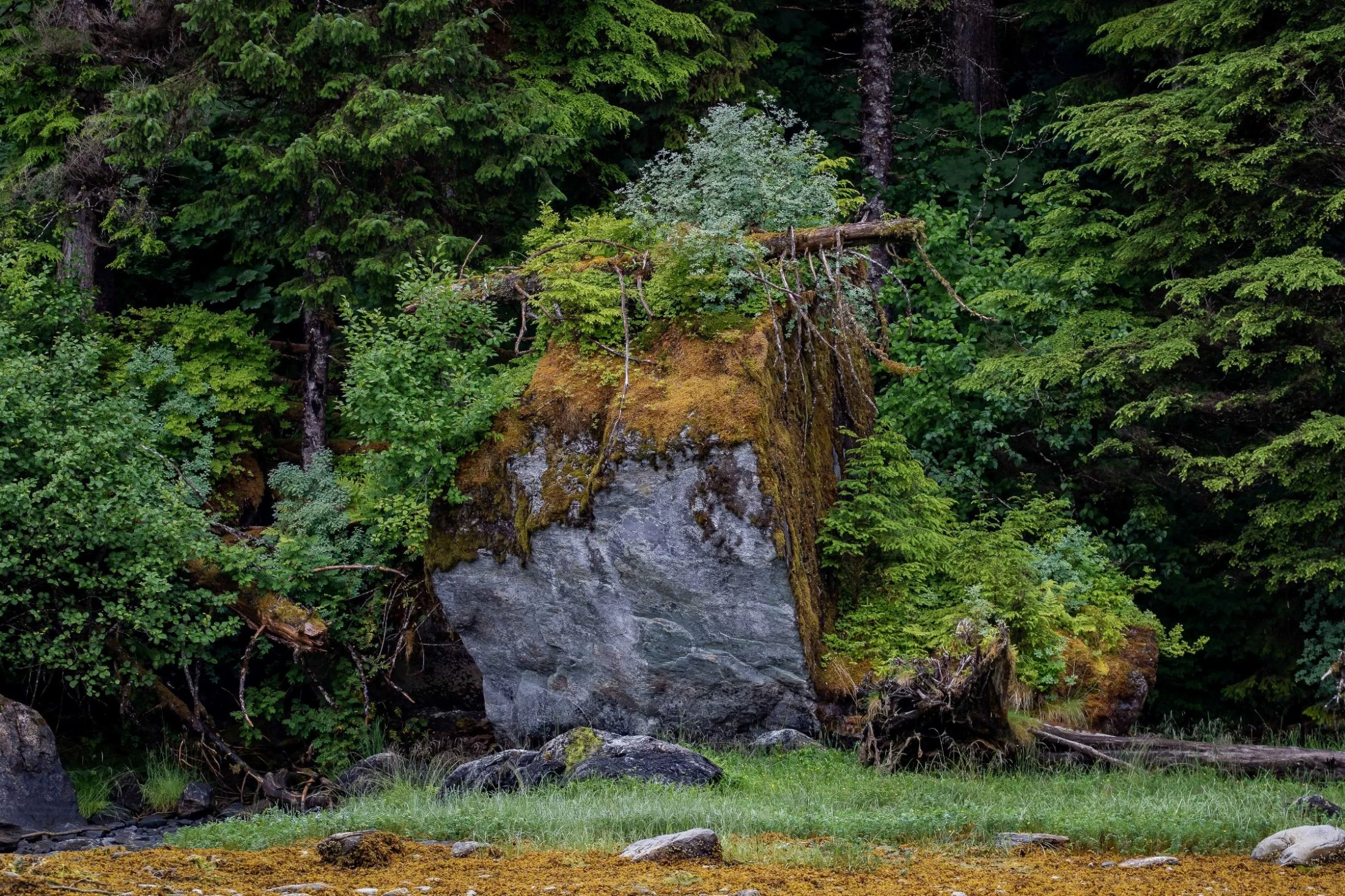 Alaska,Cruise,Baranof Is,Takatz Bay,-505.JPG