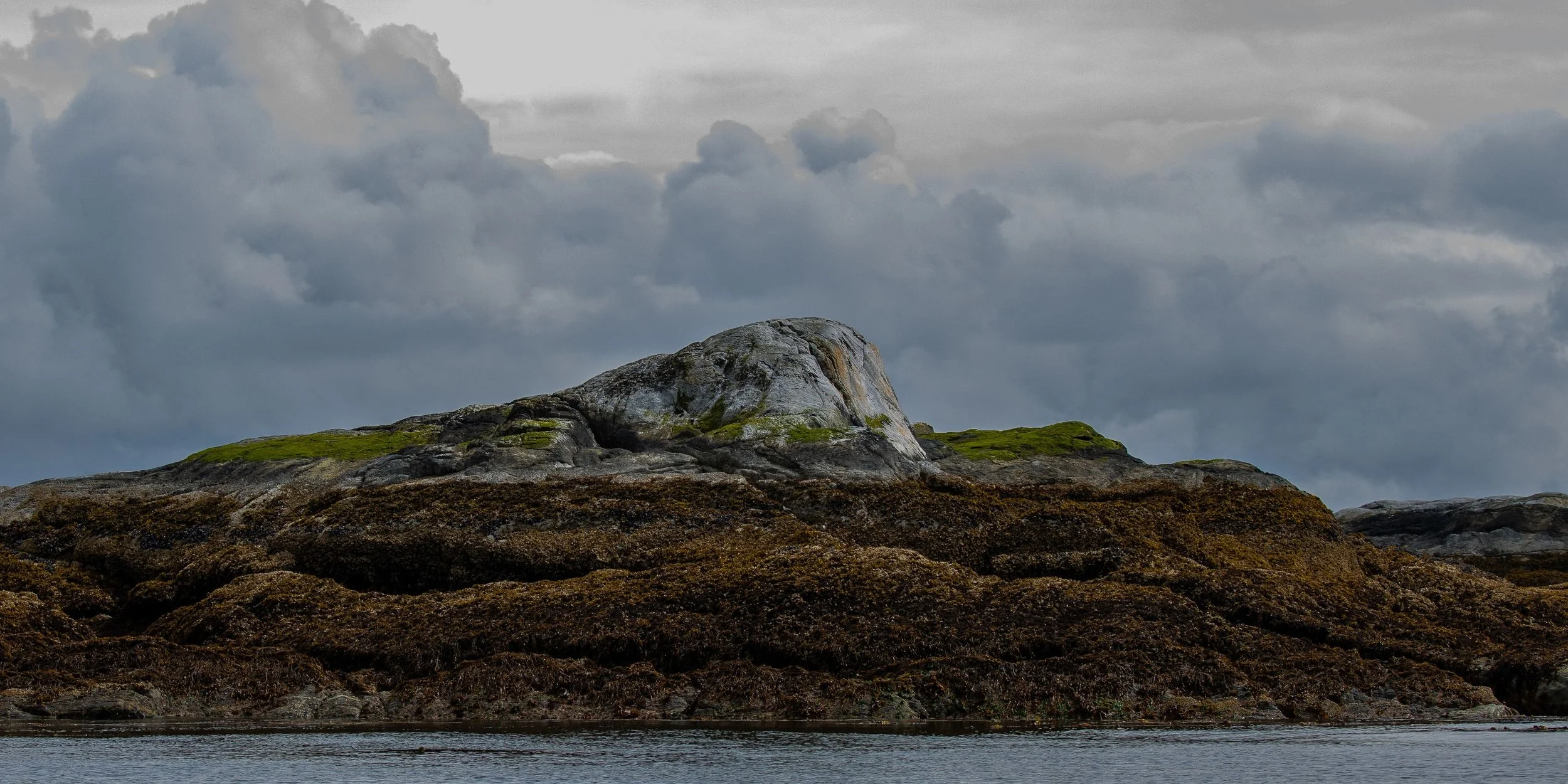 Alaska,Cruise,Baranof Is,Takatz Bay,-582.JPG