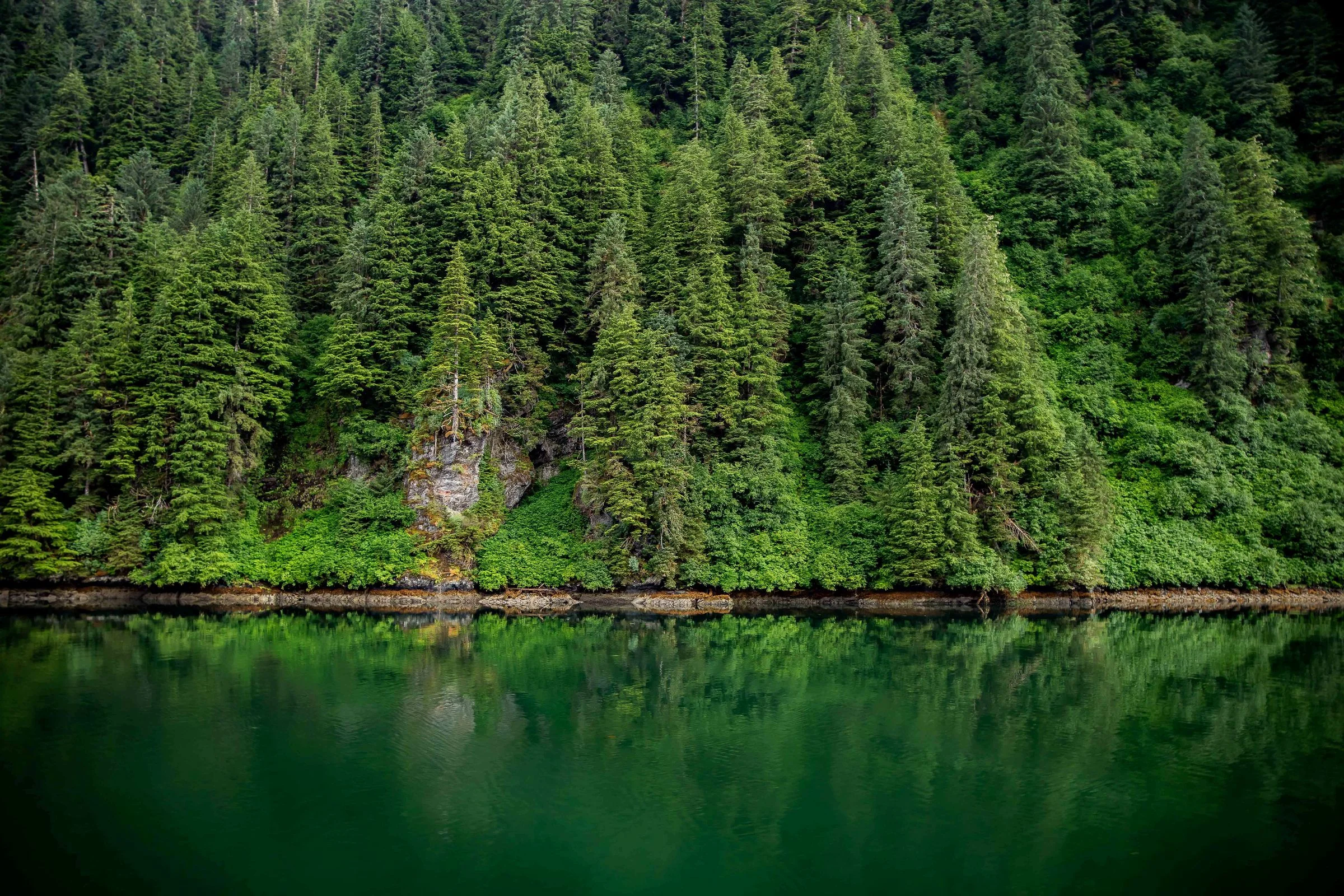 Alaska,Cruise,Baranof Island,Red Bluff Bay,-008a.JPG