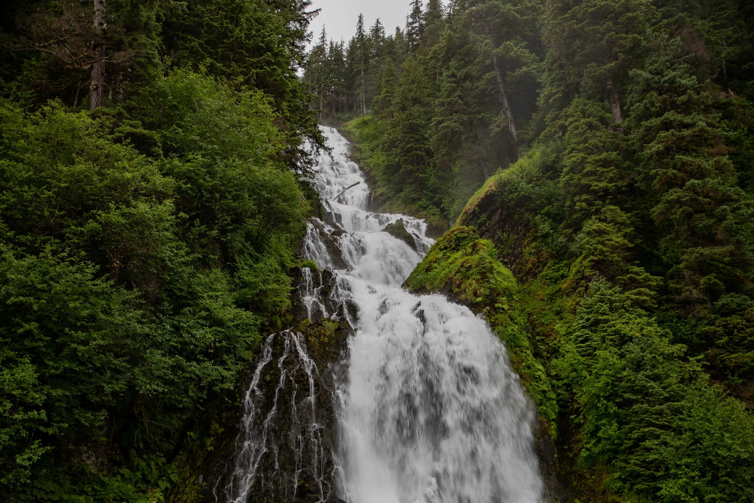 Alaska,Cruise,Baranof Island,Red Bluff Bay,-040a.JPG