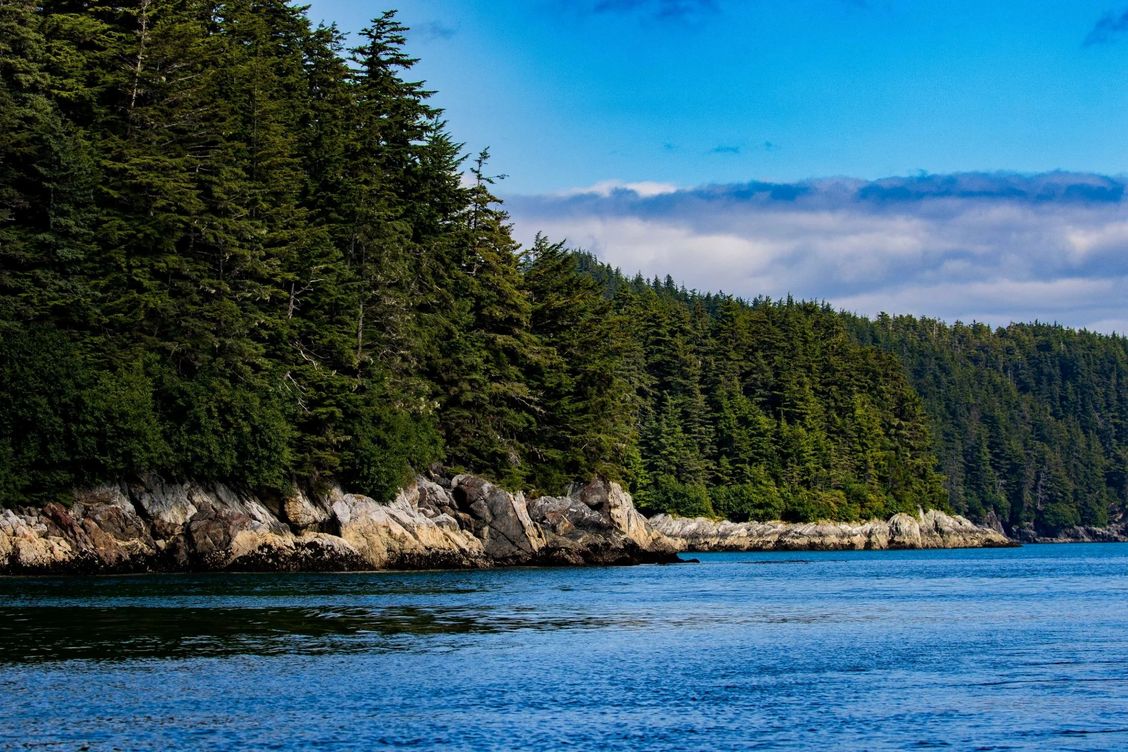 Alaska,Cruise,Chicagof Is,-105.JPG