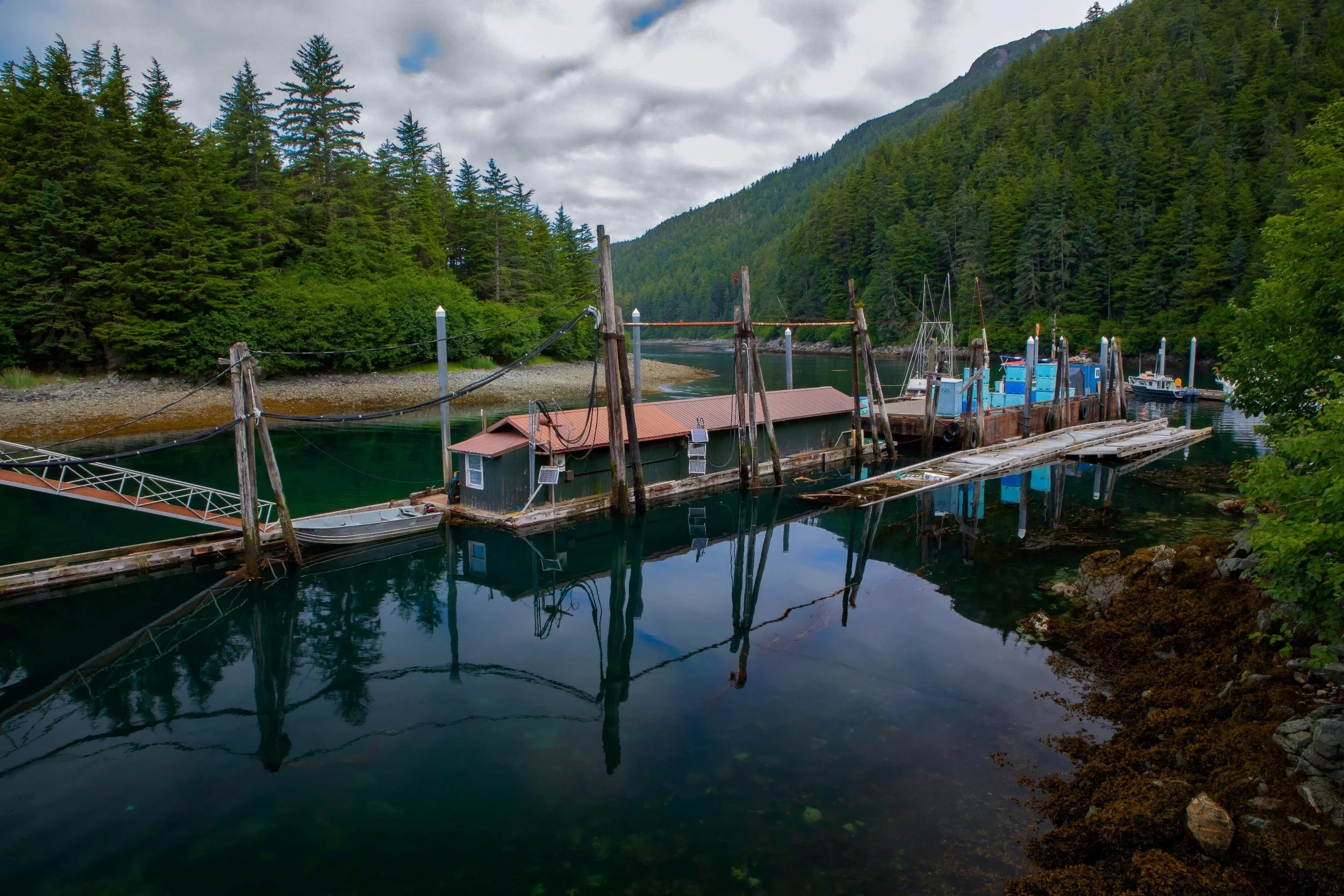 Alaska,Cruise,Chicagof Is,Elfin Cove,-129a.JPG