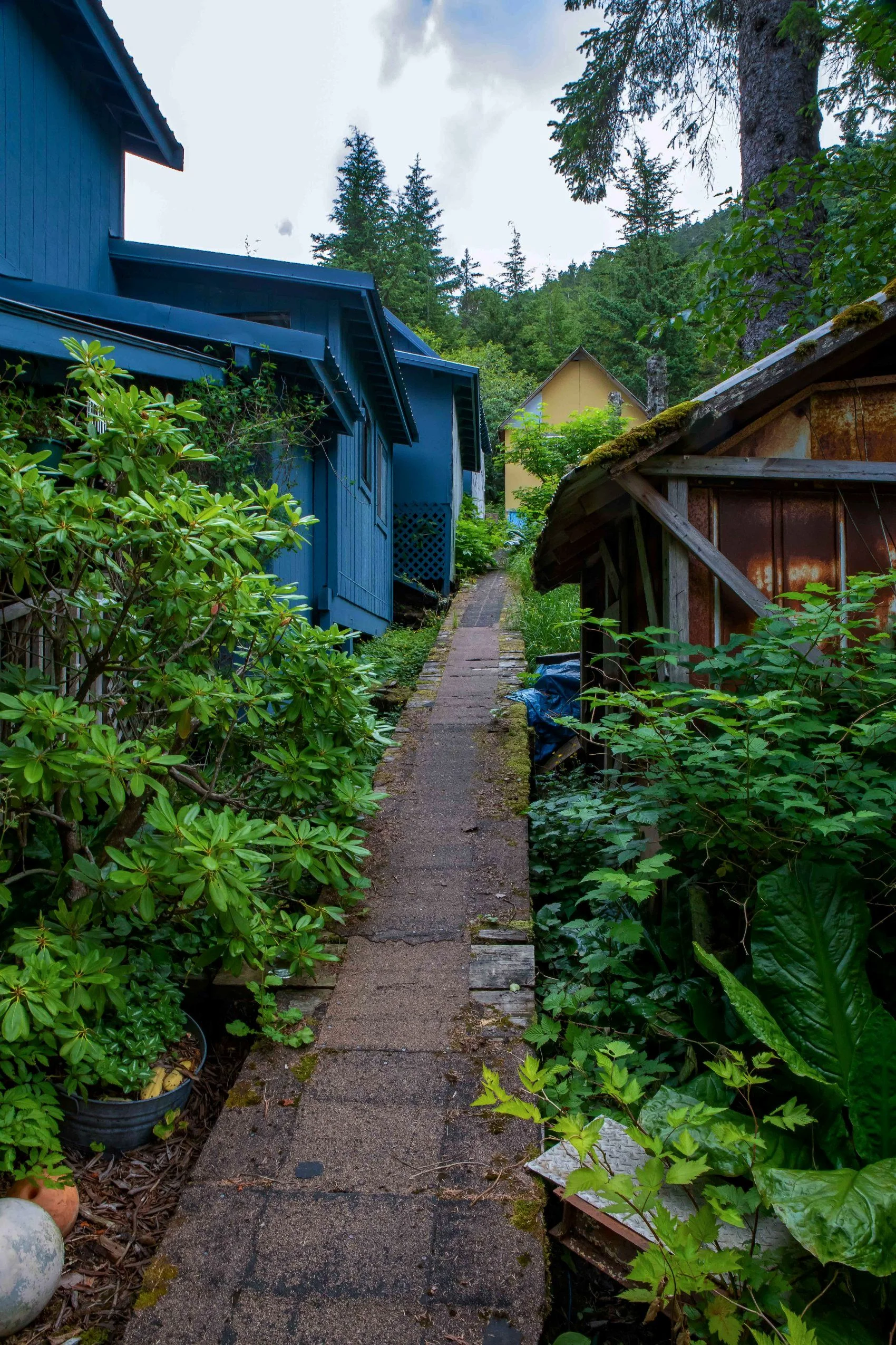 Alaska,Cruise,Chicagof Is,Elfin Cove,-134a.JPG